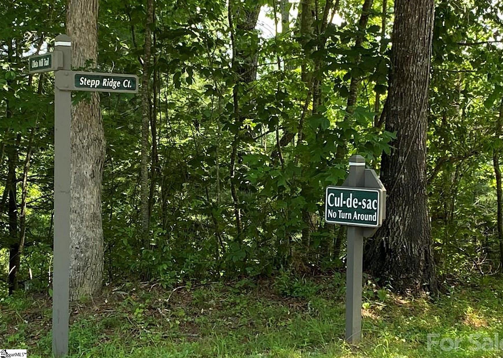 68 Stepp Ridge Court Hendersonville, NC 28792 - Photo 8 of 11