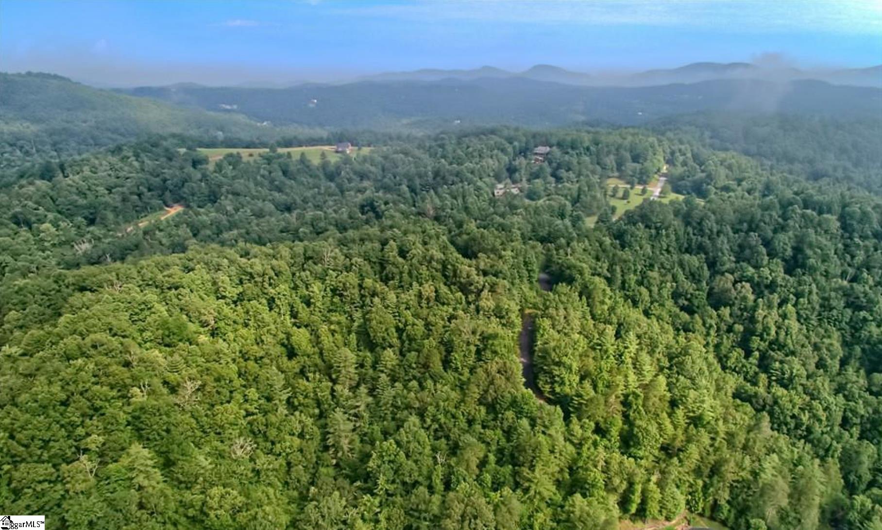 68 Stepp Ridge Court Hendersonville, NC 28792 - Photo 9 of 11