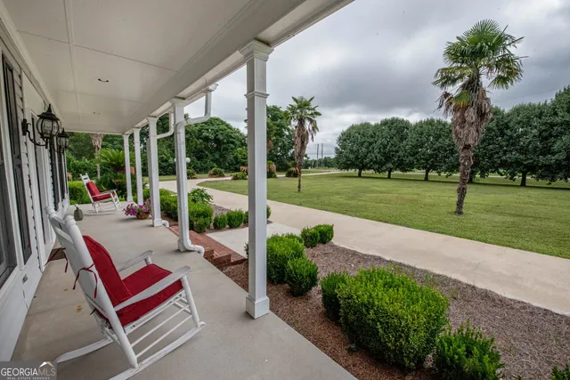 a backyard of a house with plants and large tree