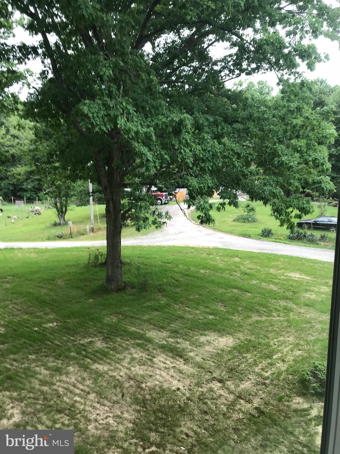 23615 Neck Road Aquasco, MD 20608 - Photo 65 of 70 yard