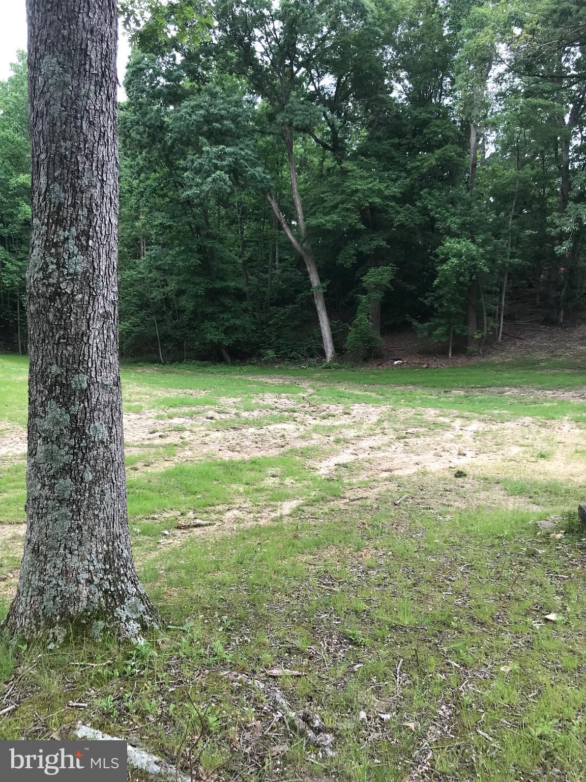 23615 Neck Road Aquasco, MD 20608 - Photo 69 of 70 yard