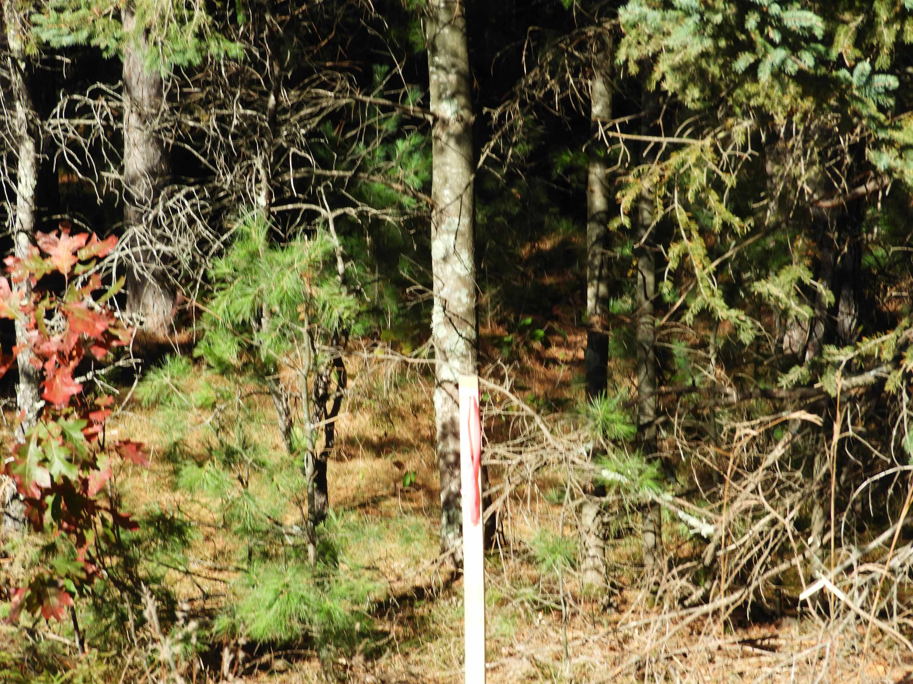 26-xx Ellison Lake Road Solon Springs, WI 54873 - Photo 1 of 6 Gallery Image 1