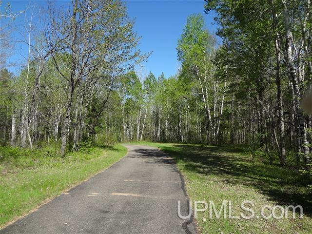 373 Long Lake Road Crystal Falls, MI 49920 - Photo 12 of 26 Gallery Image 12