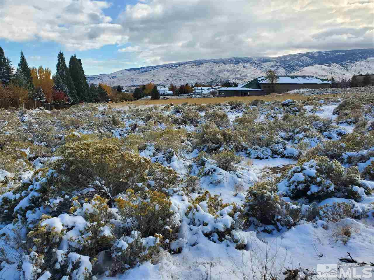 0 Grandpoint Reno, NV 89523 - Photo 4 of 6 Photo 4