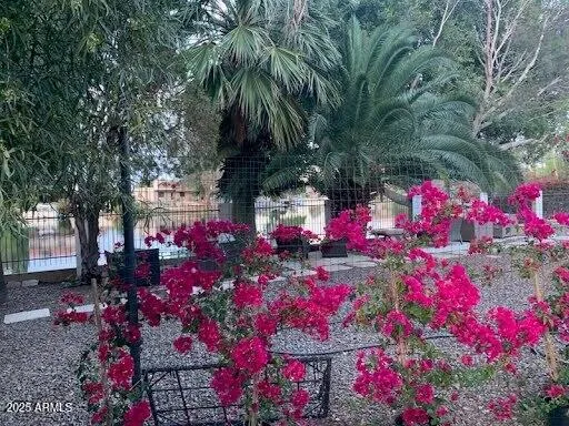 a view of street with flower and trees