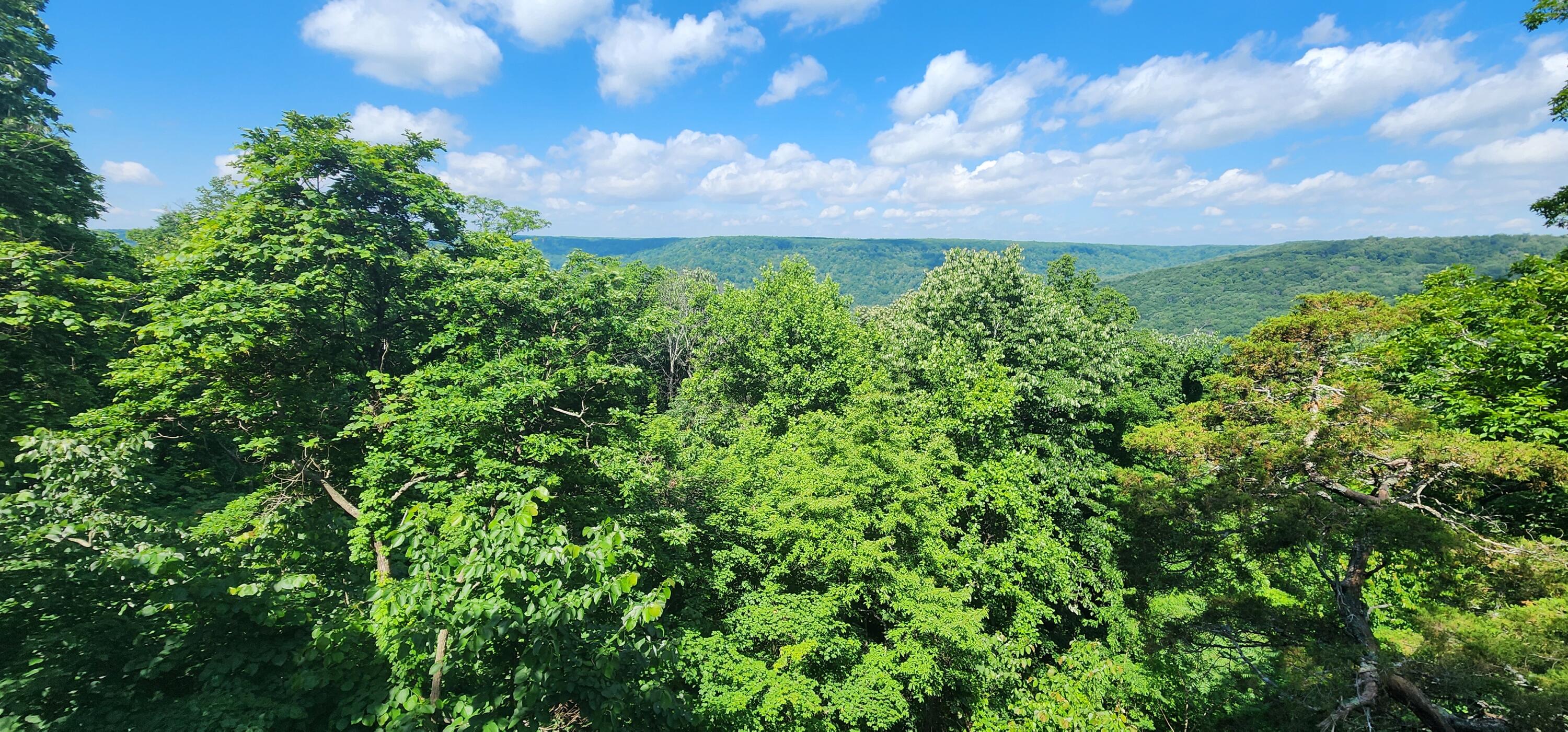 0 Roth Point Road, Unit 5 Altamont, TN 37301 - Photo 24 of 53 1000052012