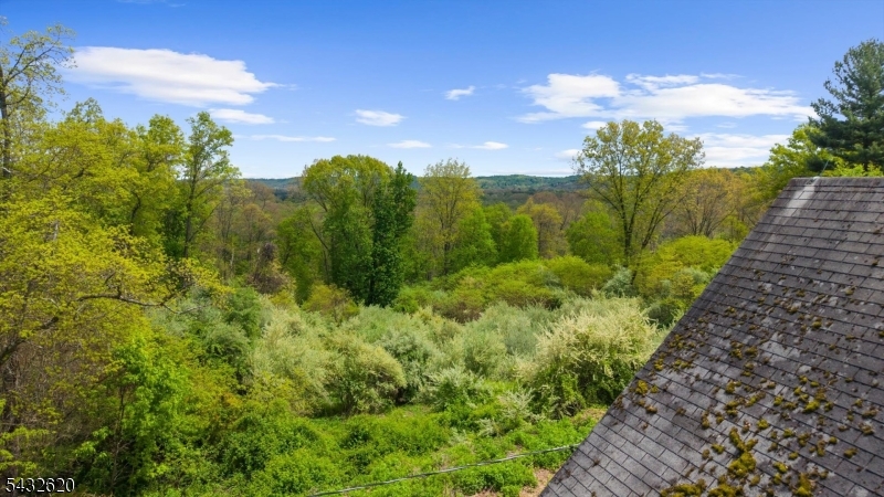 250 Pleasant Hill Road Flanders, NJ 07836 - Photo 5 of 28 a view of a garden