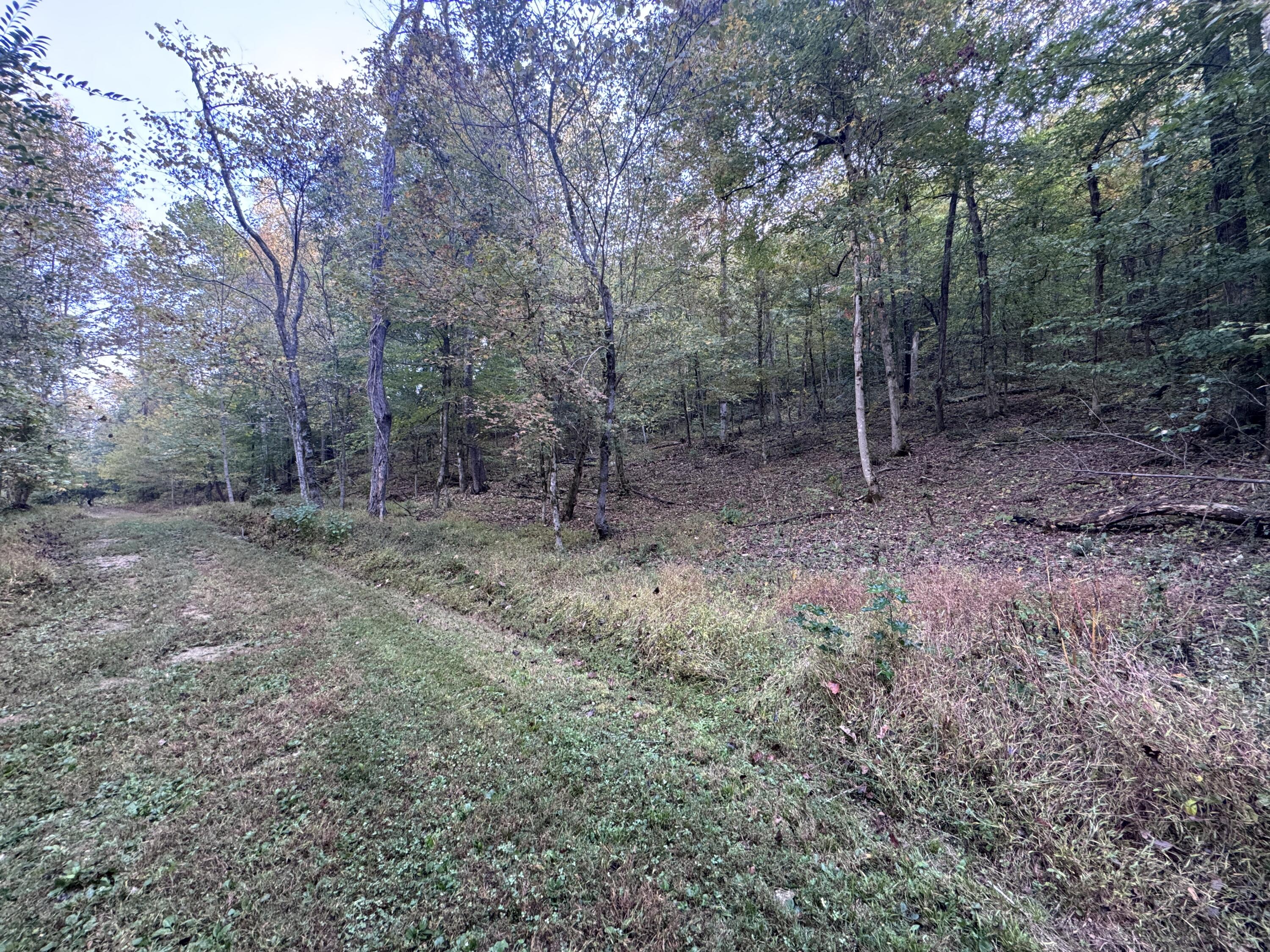 0 Geren Subdivision Lane Decatur, TN 37322 - Photo 14 of 55 IMG_7227