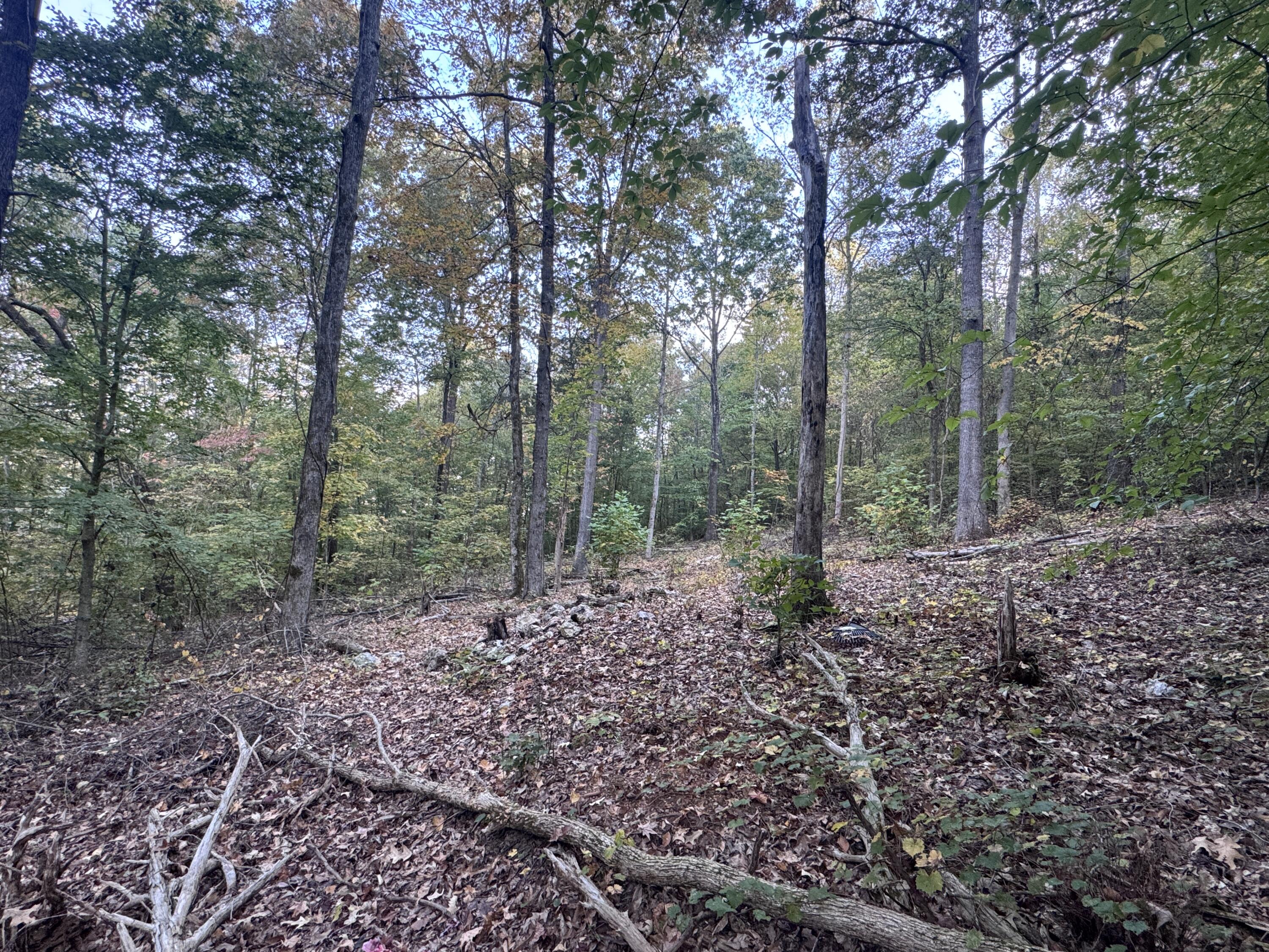 0 Geren Subdivision Lane Decatur, TN 37322 - Photo 15 of 55 IMG_7219