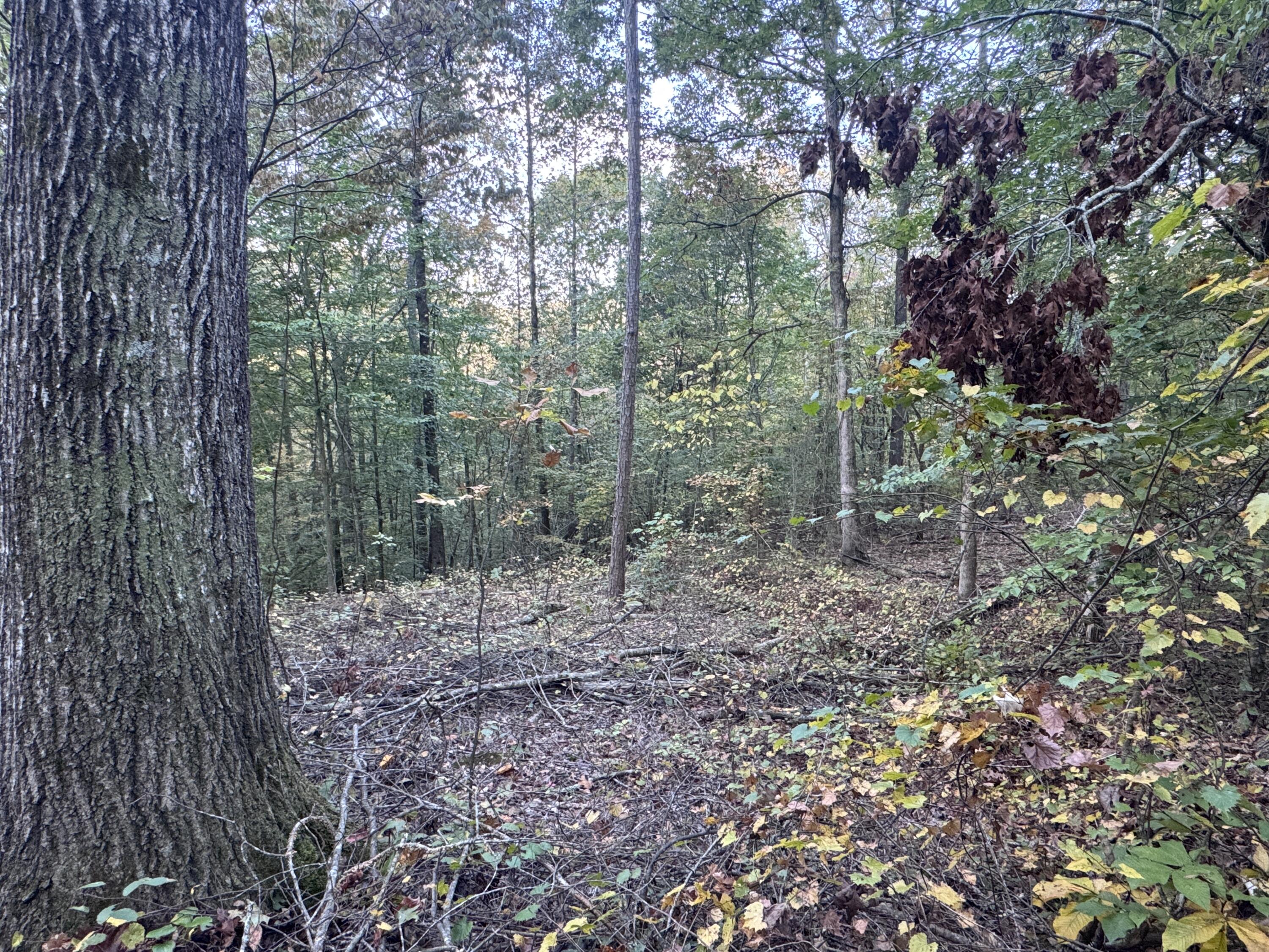 0 Geren Subdivision Lane Decatur, TN 37322 - Photo 20 of 55 IMG_7216