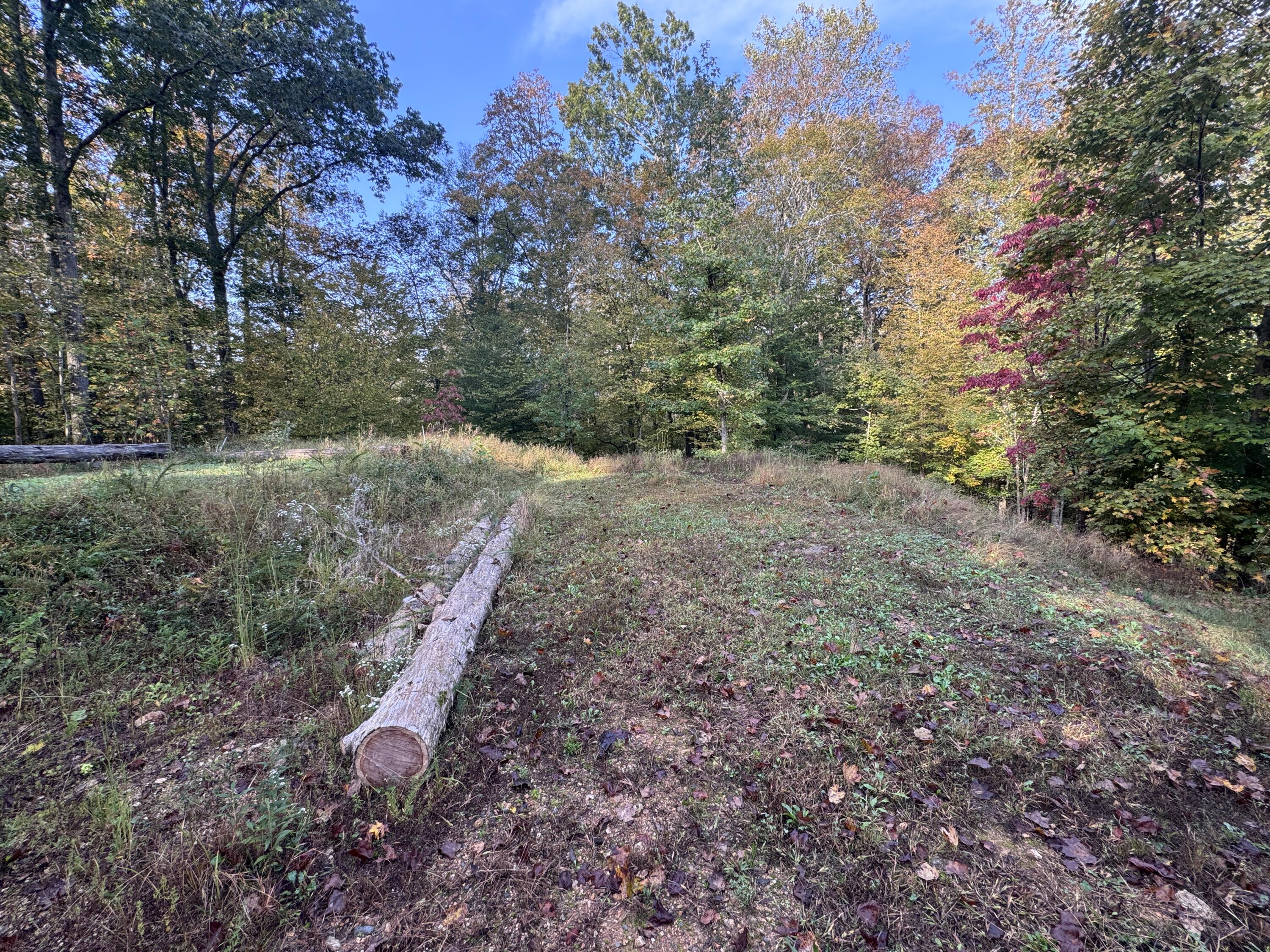 0 Geren Subdivision Lane Decatur, TN 37322 - Photo 22 of 55 IMG_7233