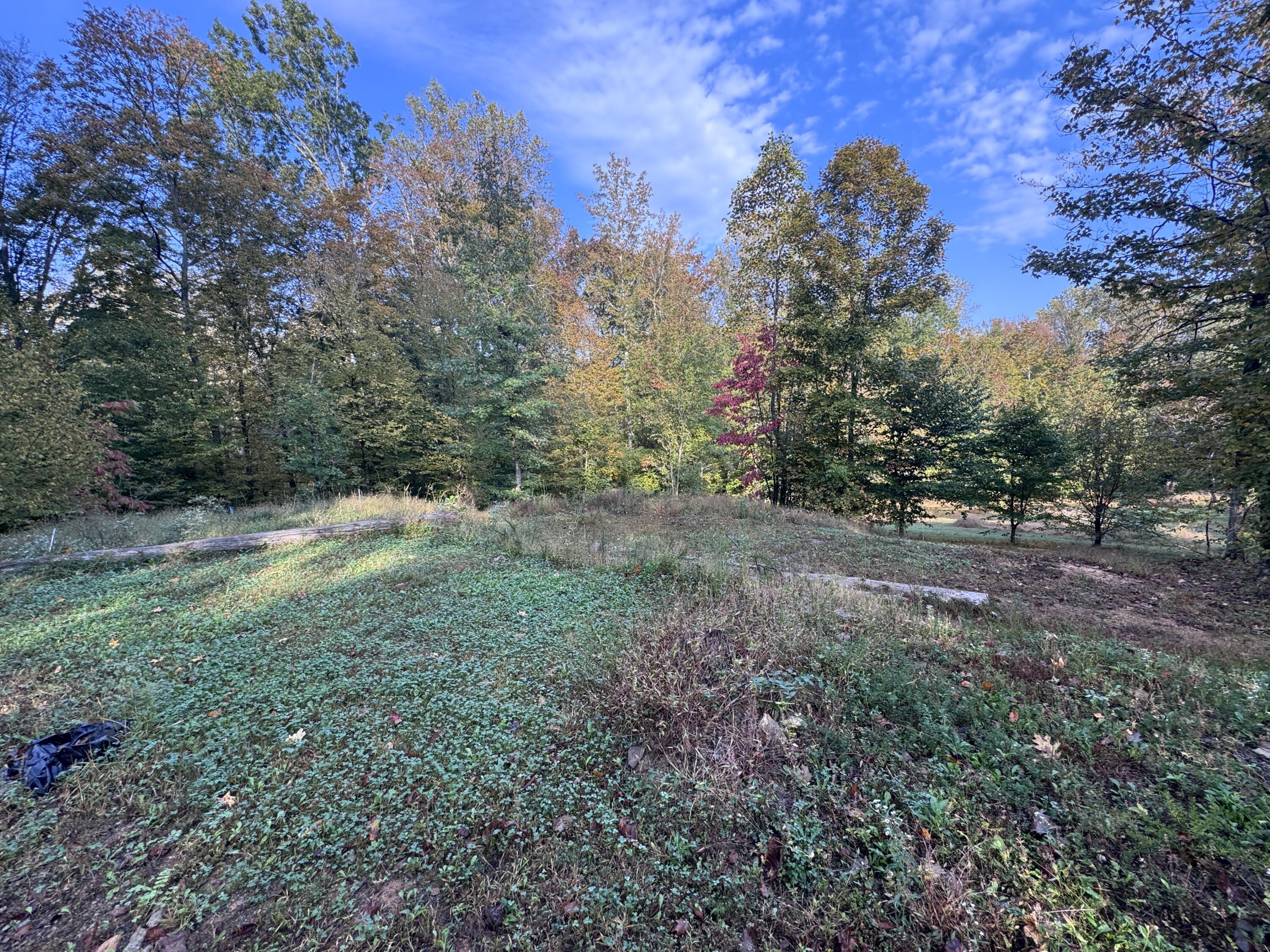 0 Geren Subdivision Lane Decatur, TN 37322 - Photo 23 of 55 IMG_7234