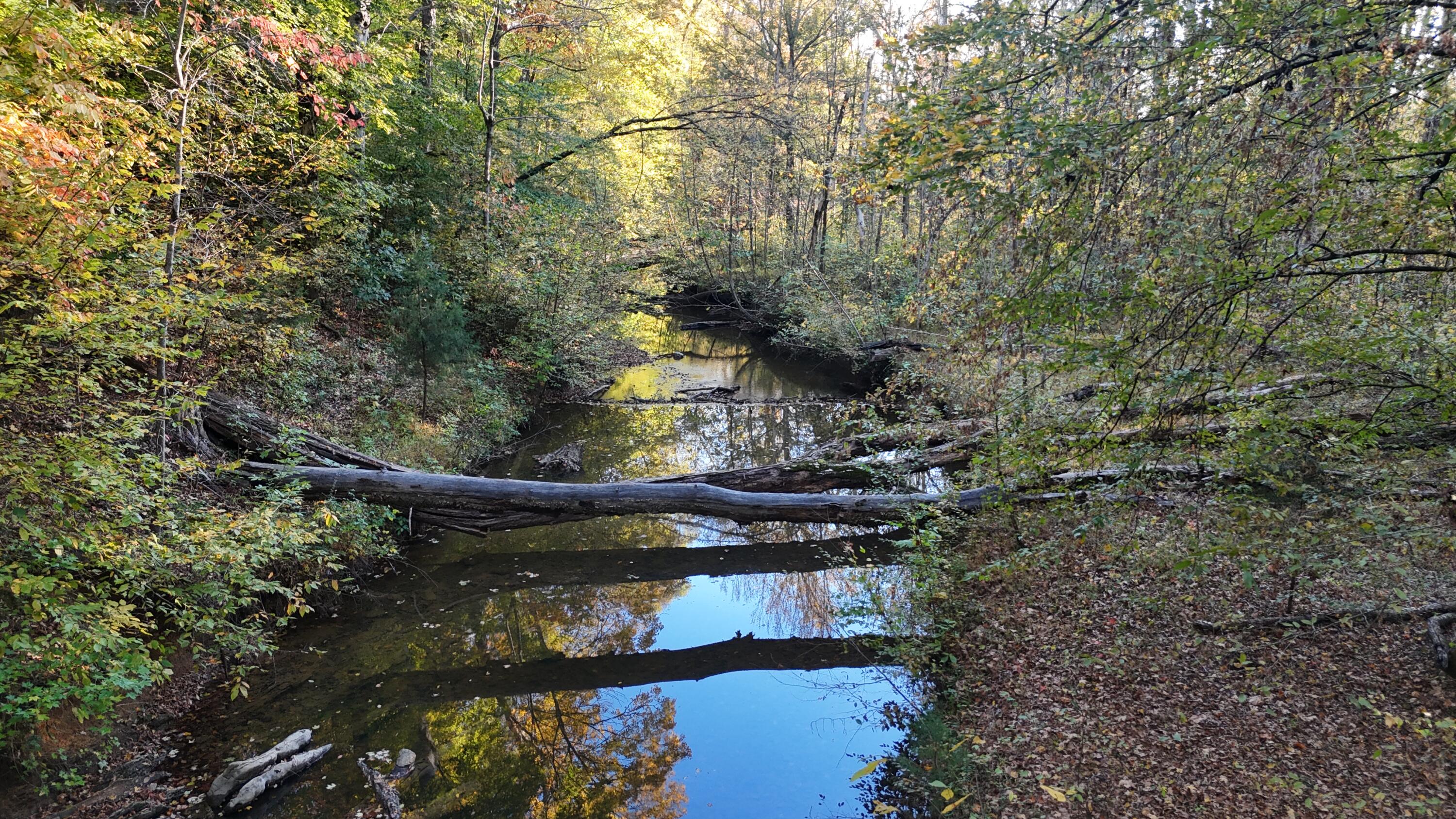 0 Geren Subdivision Lane Decatur, TN 37322 - Photo 30 of 55 dji_fly_20251020_180112_0049_17610481936