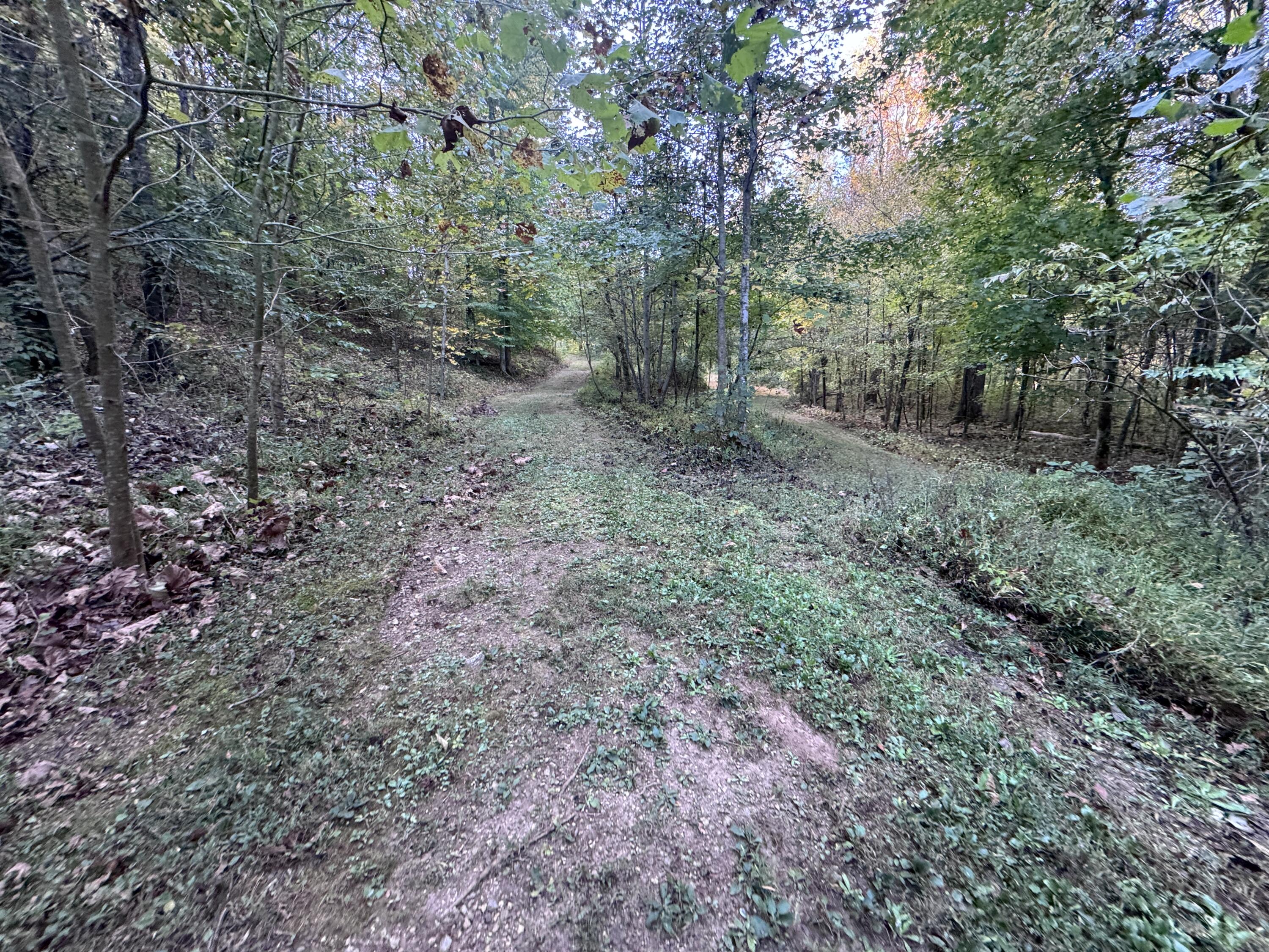 0 Geren Subdivision Lane Decatur, TN 37322 - Photo 3 of 55 IMG_7228