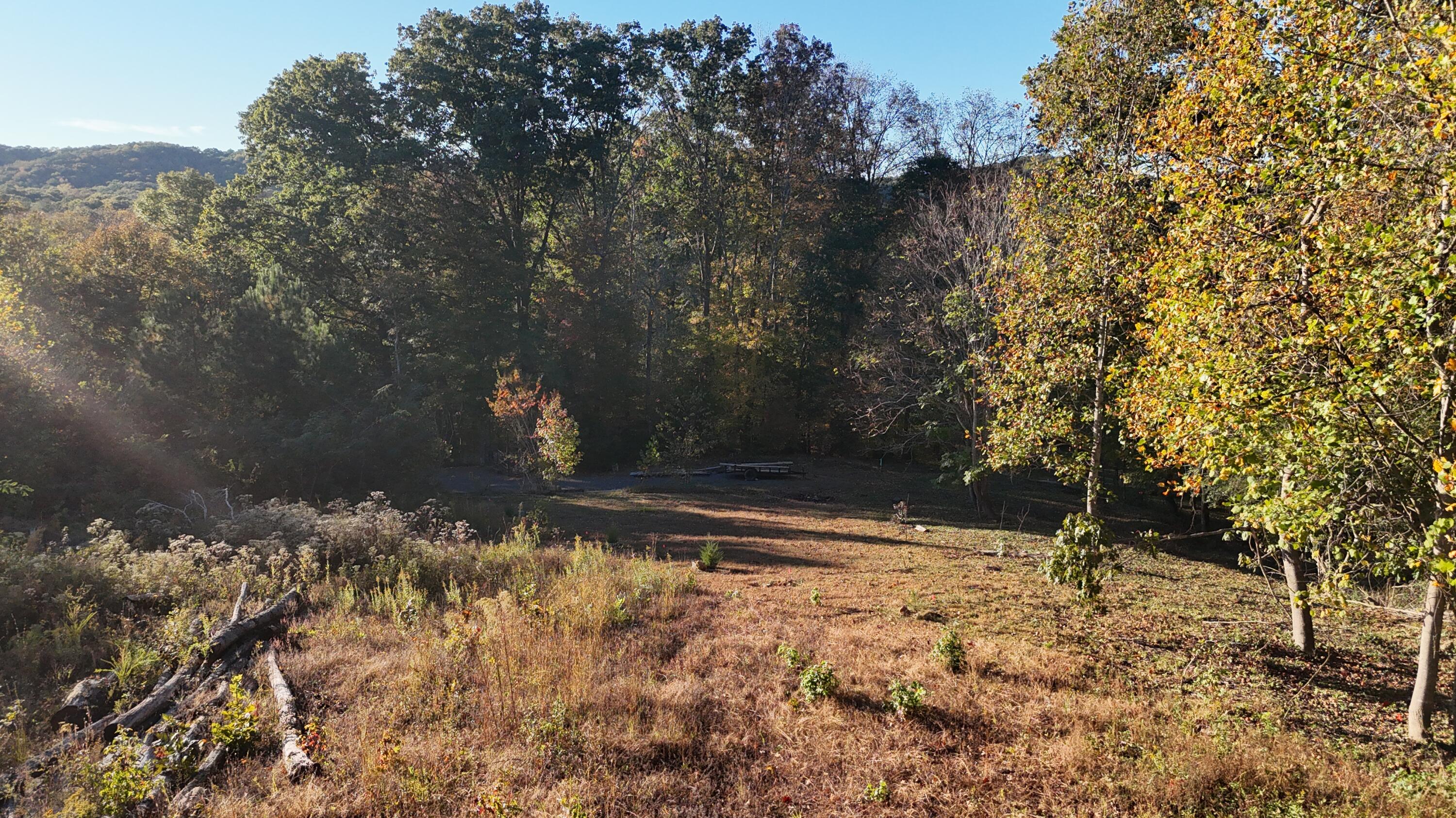 0 Geren Subdivision Lane Decatur, TN 37322 - Photo 31 of 55 dji_fly_20251020_175402_0039_17610482059