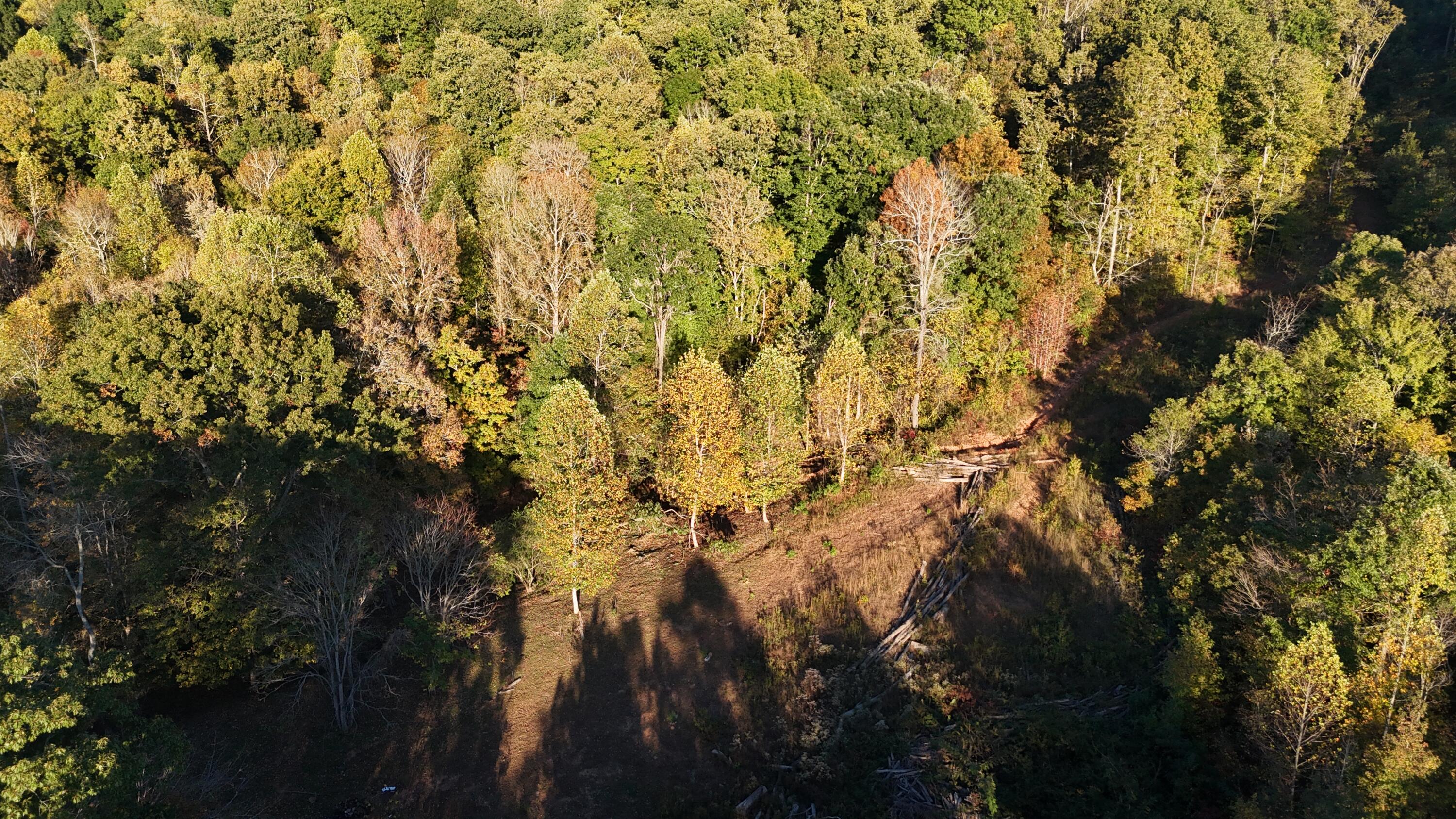 0 Geren Subdivision Lane Decatur, TN 37322 - Photo 32 of 55 dji_fly_20251020_180434_0054_17610481858