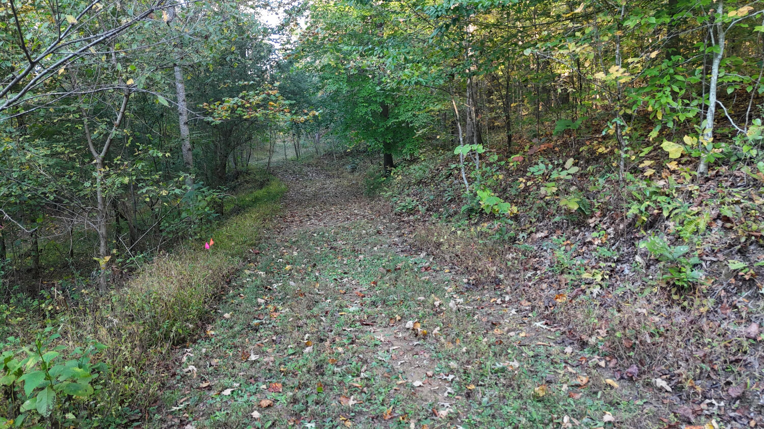 0 Geren Subdivision Lane Decatur, TN 37322 - Photo 33 of 55 dji_fly_20251020_180702_0058_17610481798