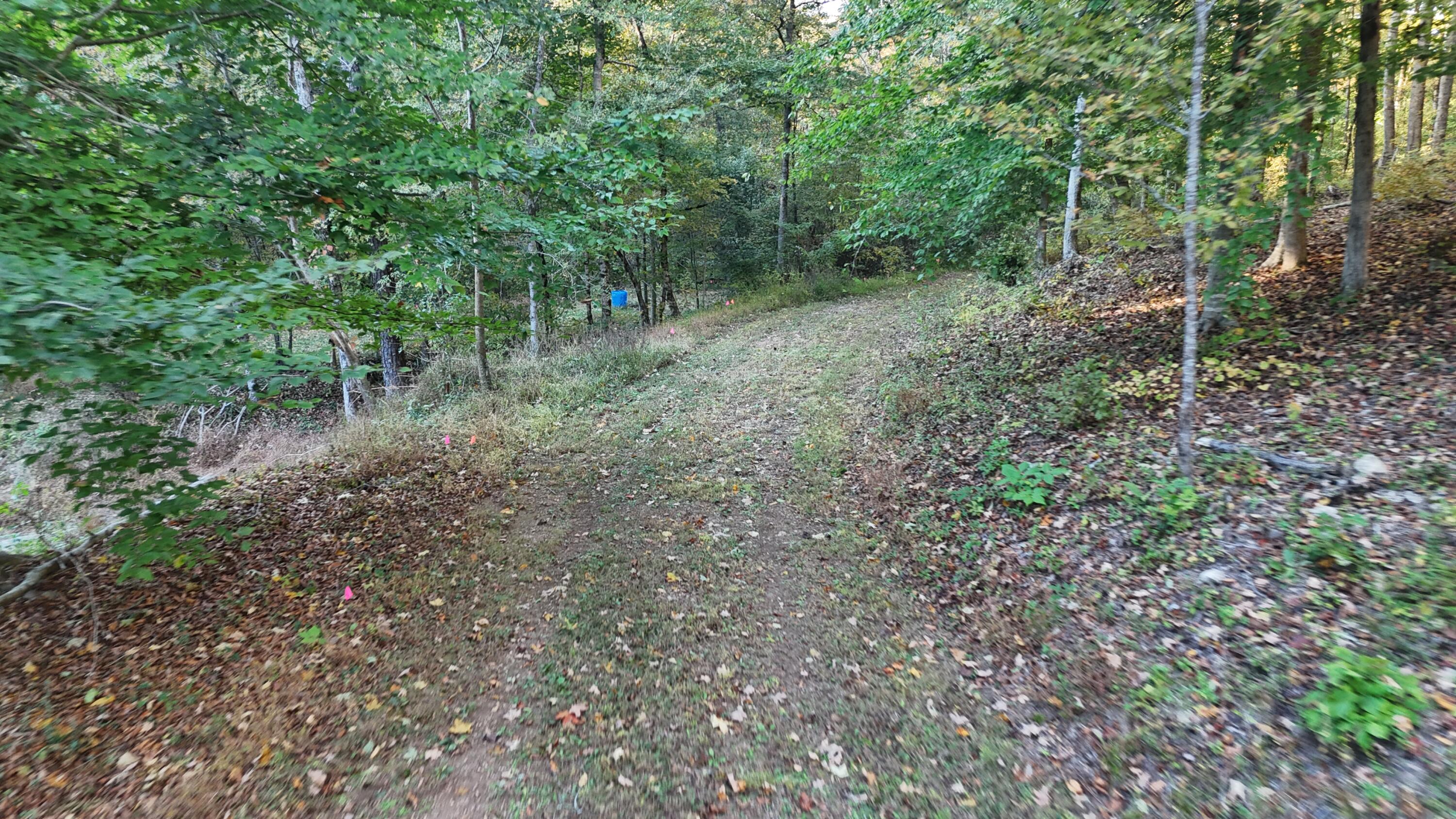 0 Geren Subdivision Lane Decatur, TN 37322 - Photo 34 of 55 dji_fly_20251020_180632_0056_17610481822