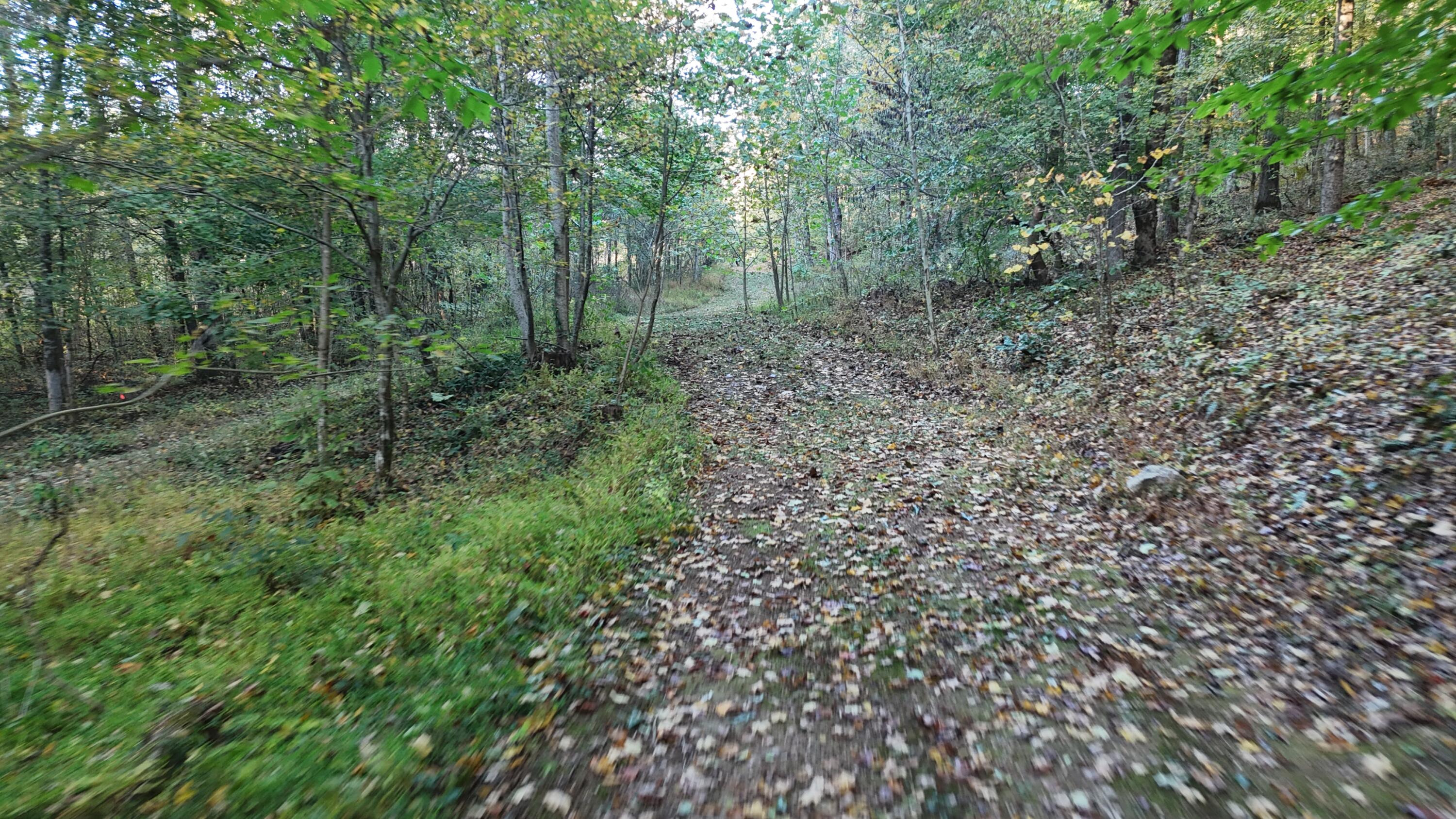 0 Geren Subdivision Lane Decatur, TN 37322 - Photo 40 of 55 dji_fly_20251020_180710_0059_17610481769