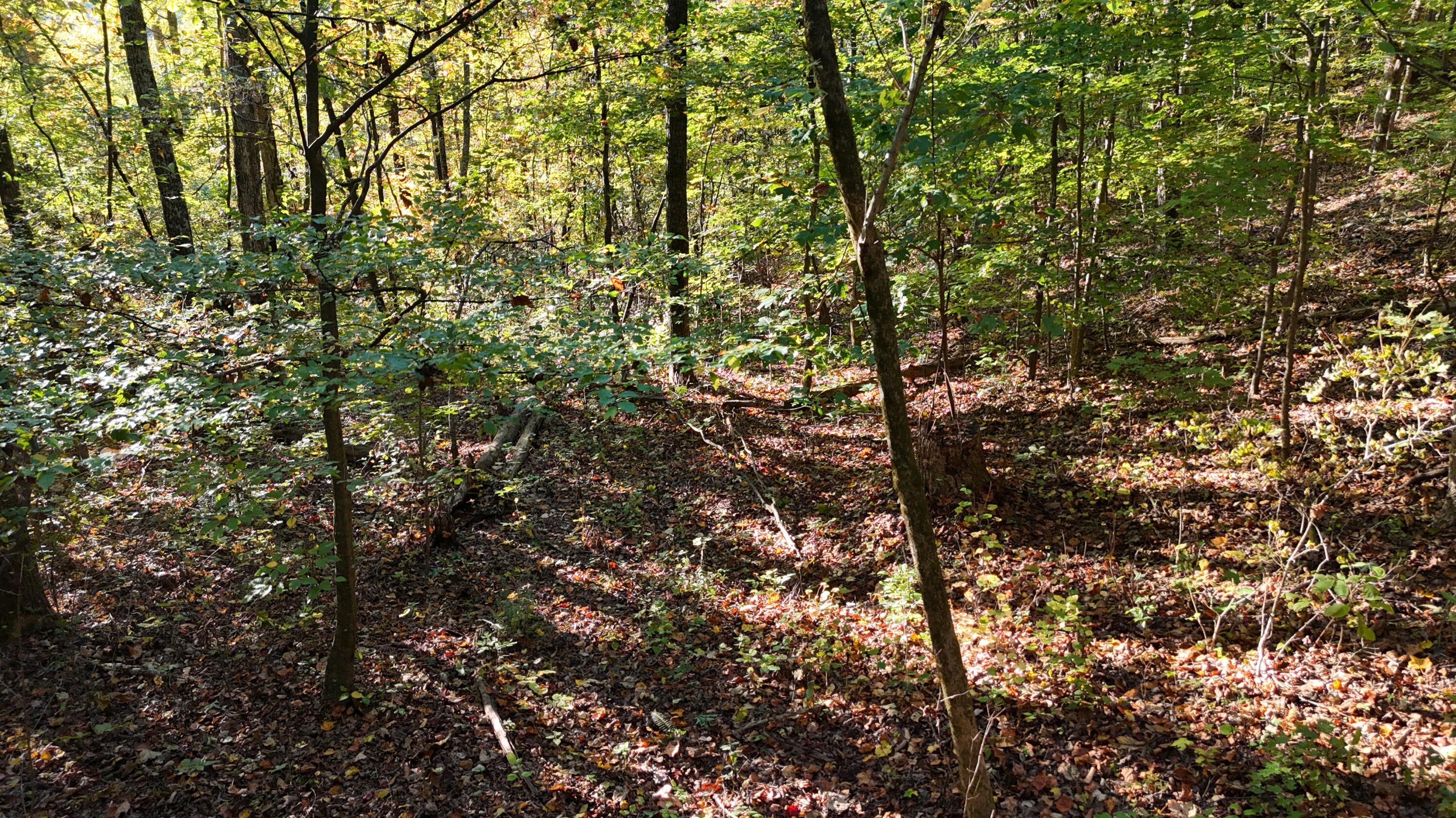 0 Geren Subdivision Lane Decatur, TN 37322 - Photo 41 of 55 dji_fly_20251020_175538_0042_17610482029