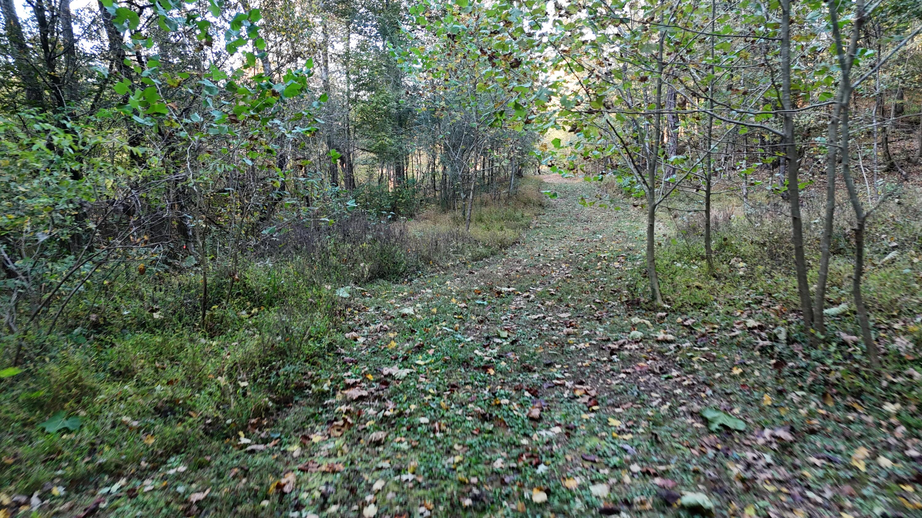 0 Geren Subdivision Lane Decatur, TN 37322 - Photo 43 of 55 dji_fly_20251020_180718_0060_17610481758