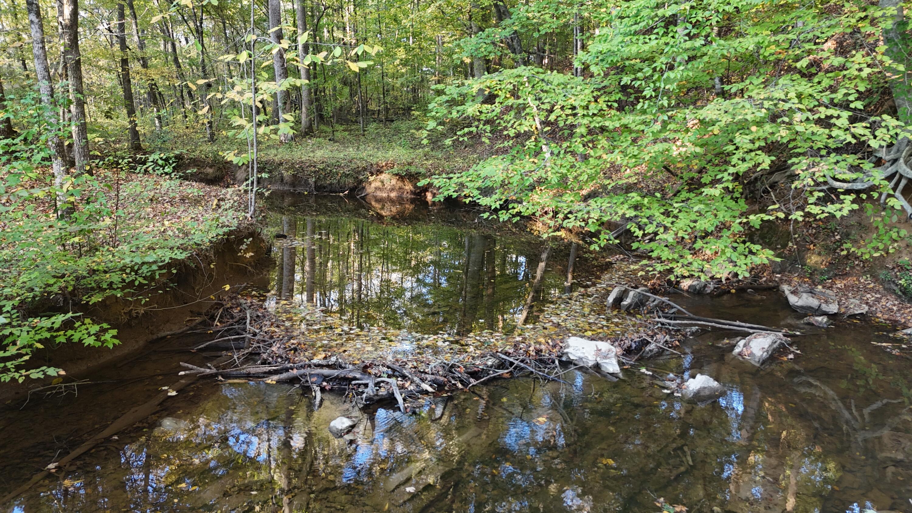 0 Geren Subdivision Lane Decatur, TN 37322 - Photo 44 of 55 dji_fly_20251020_180126_0050_17610481921