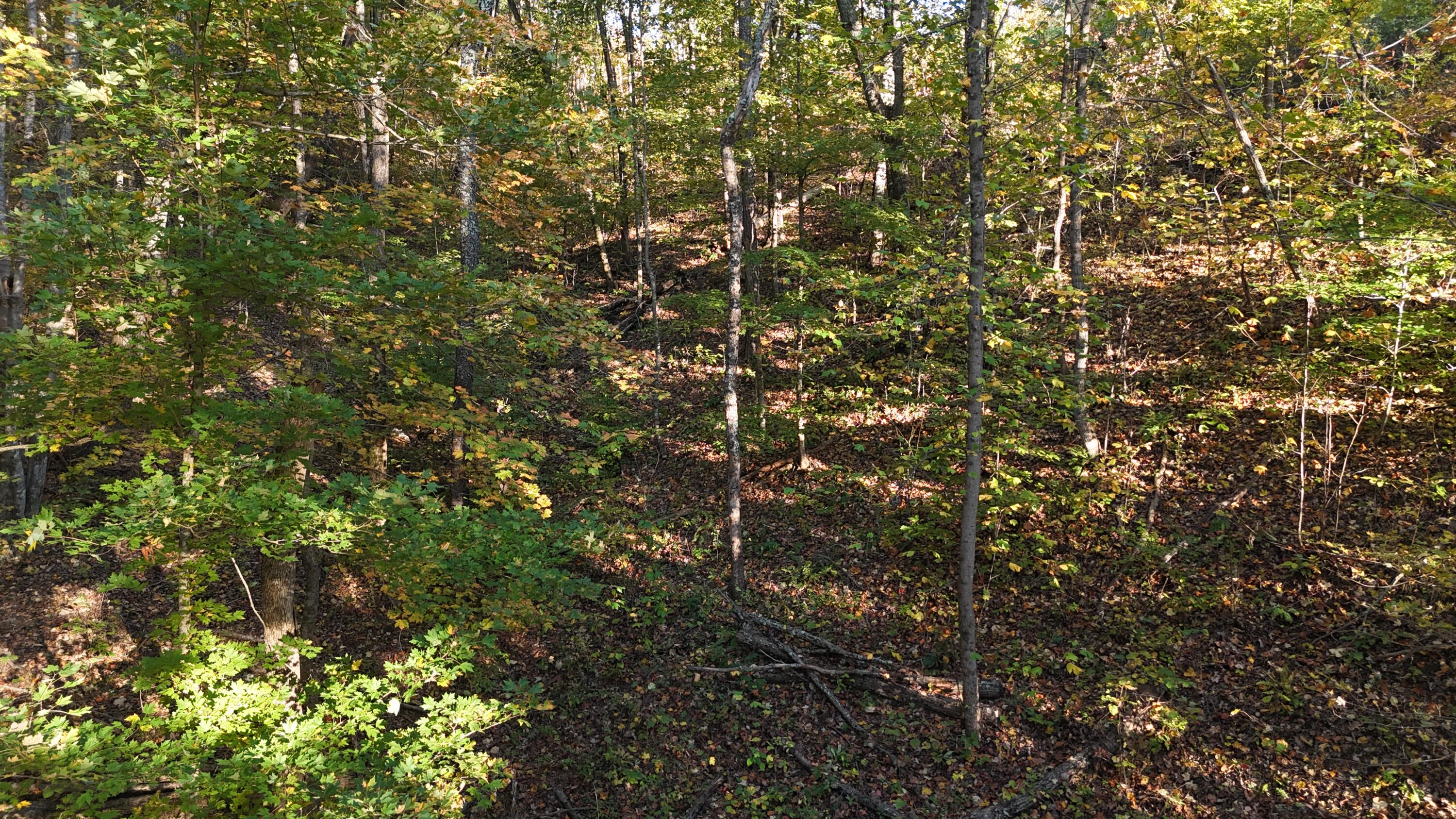 0 Geren Subdivision Lane Decatur, TN 37322 - Photo 46 of 55 dji_fly_20251020_175518_0041_17610482039