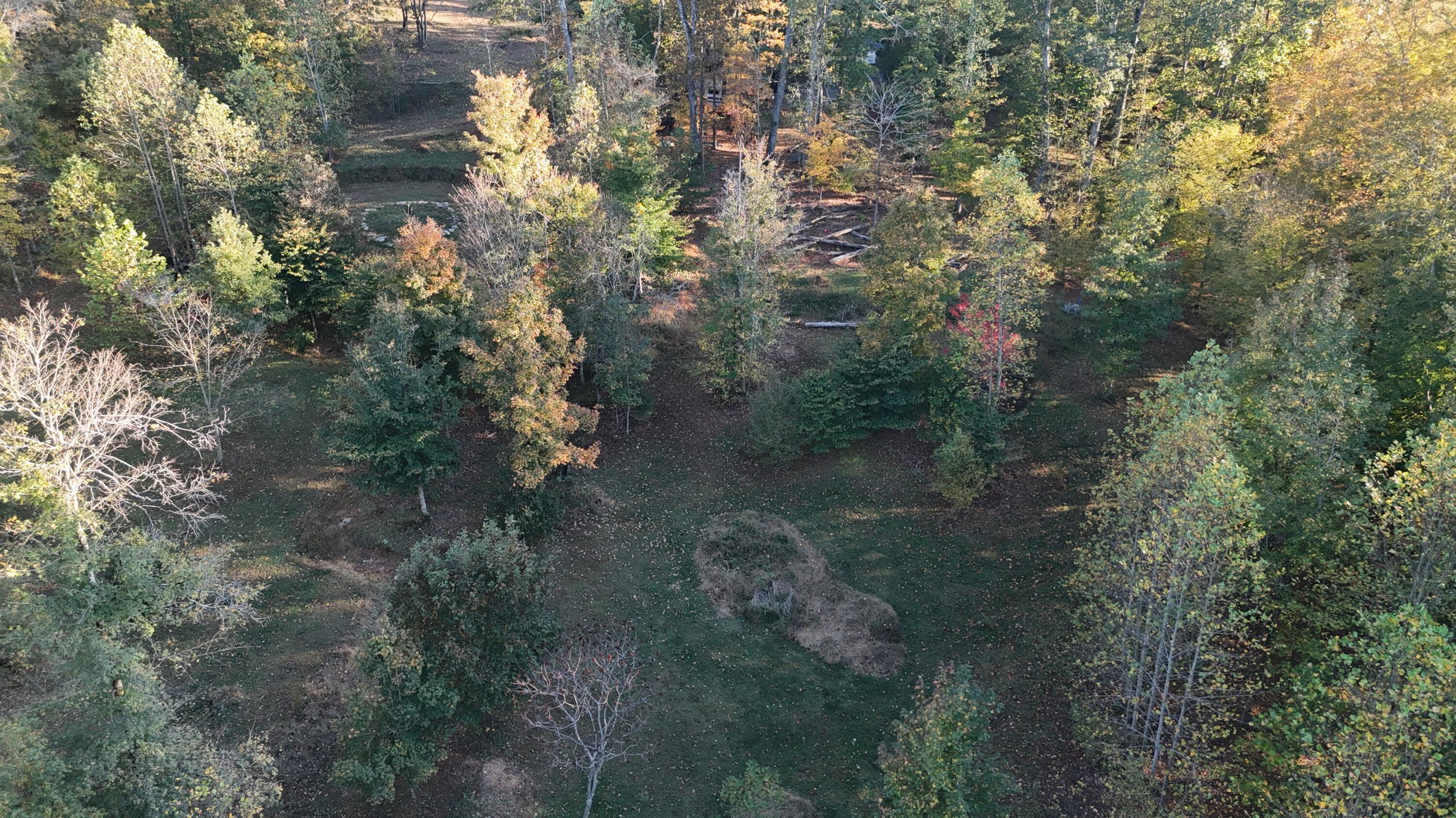 0 Geren Subdivision Lane Decatur, TN 37322 - Photo 49 of 55 dji_fly_20251020_175838_0046_17610481973