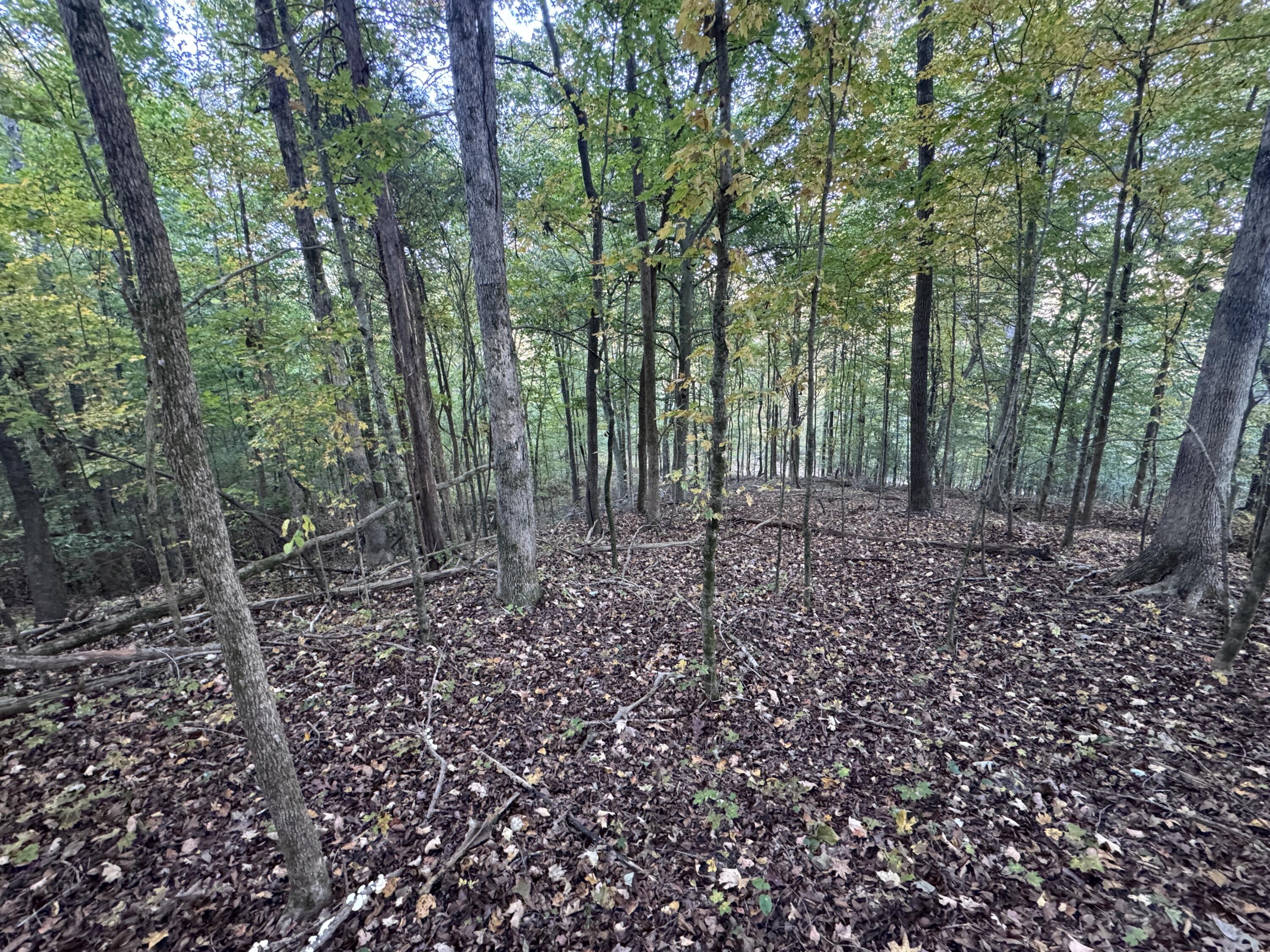 0 Geren Subdivision Lane Decatur, TN 37322 - Photo 5 of 55 IMG_7223