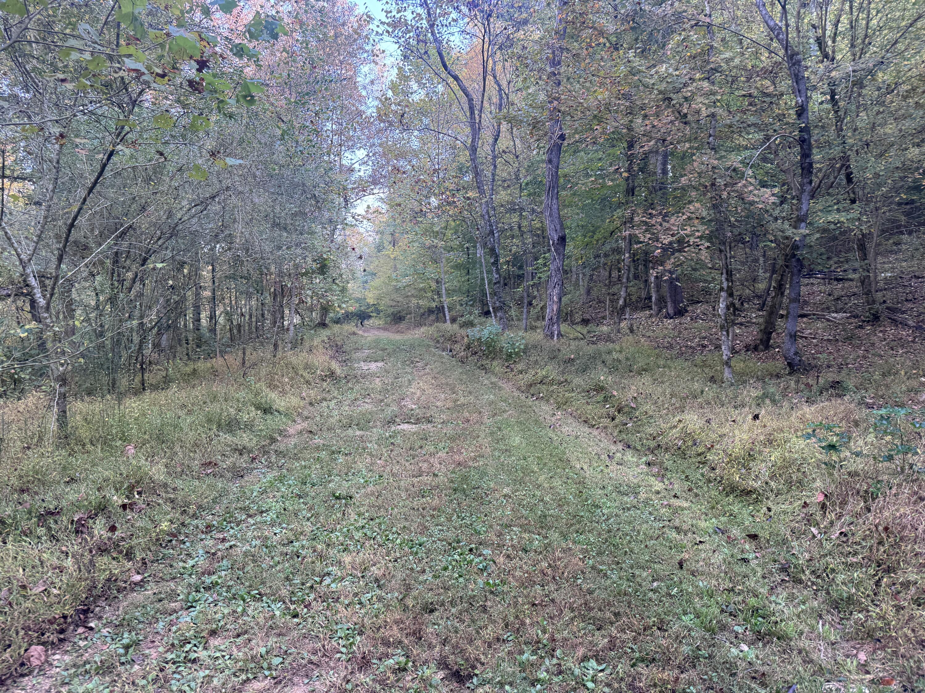 0 Geren Subdivision Lane Decatur, TN 37322 - Photo 52 of 55 IMG_7226