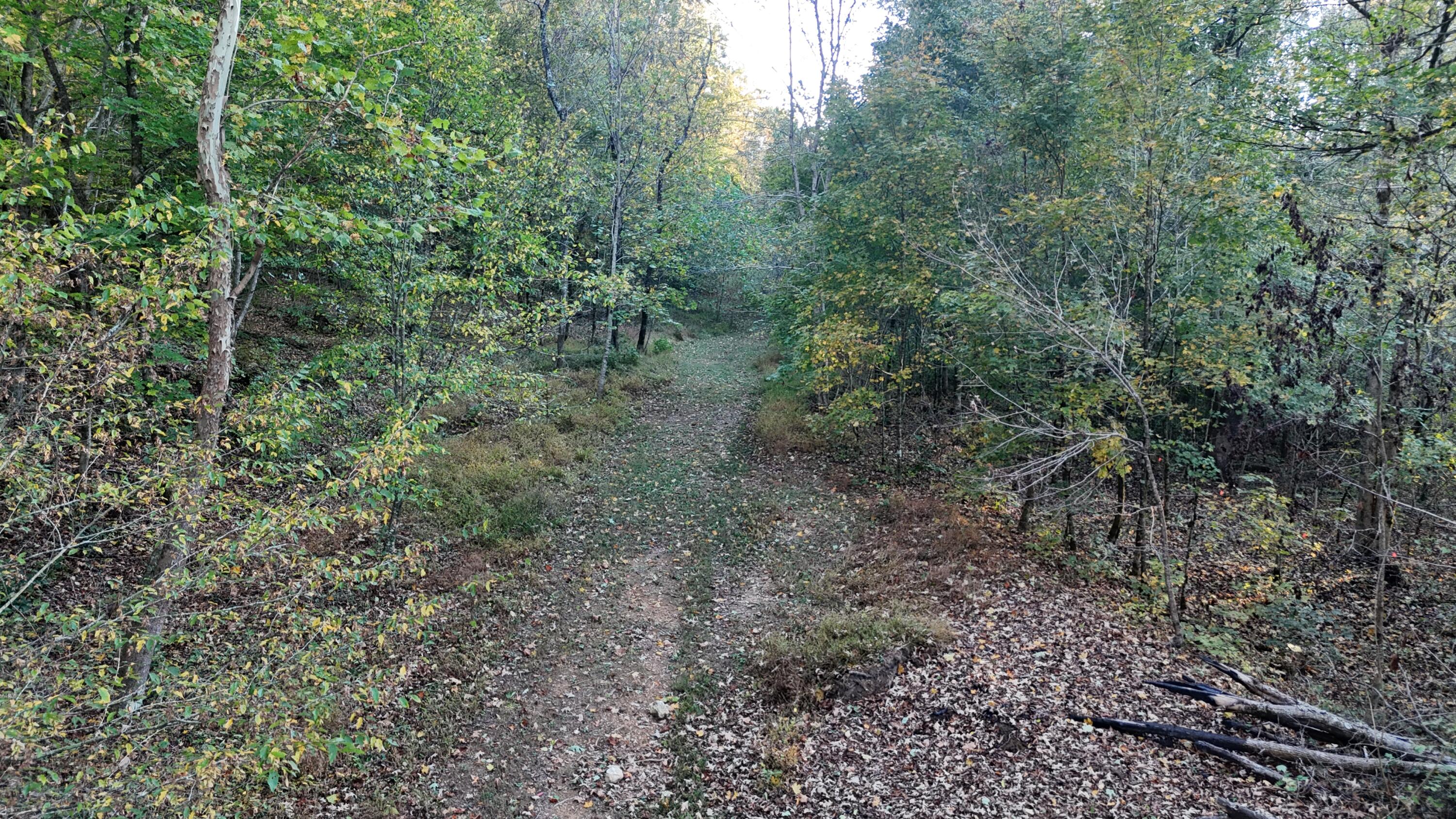 0 Geren Subdivision Lane Decatur, TN 37322 - Photo 53 of 55 dji_fly_20251020_180758_0064_17610481704