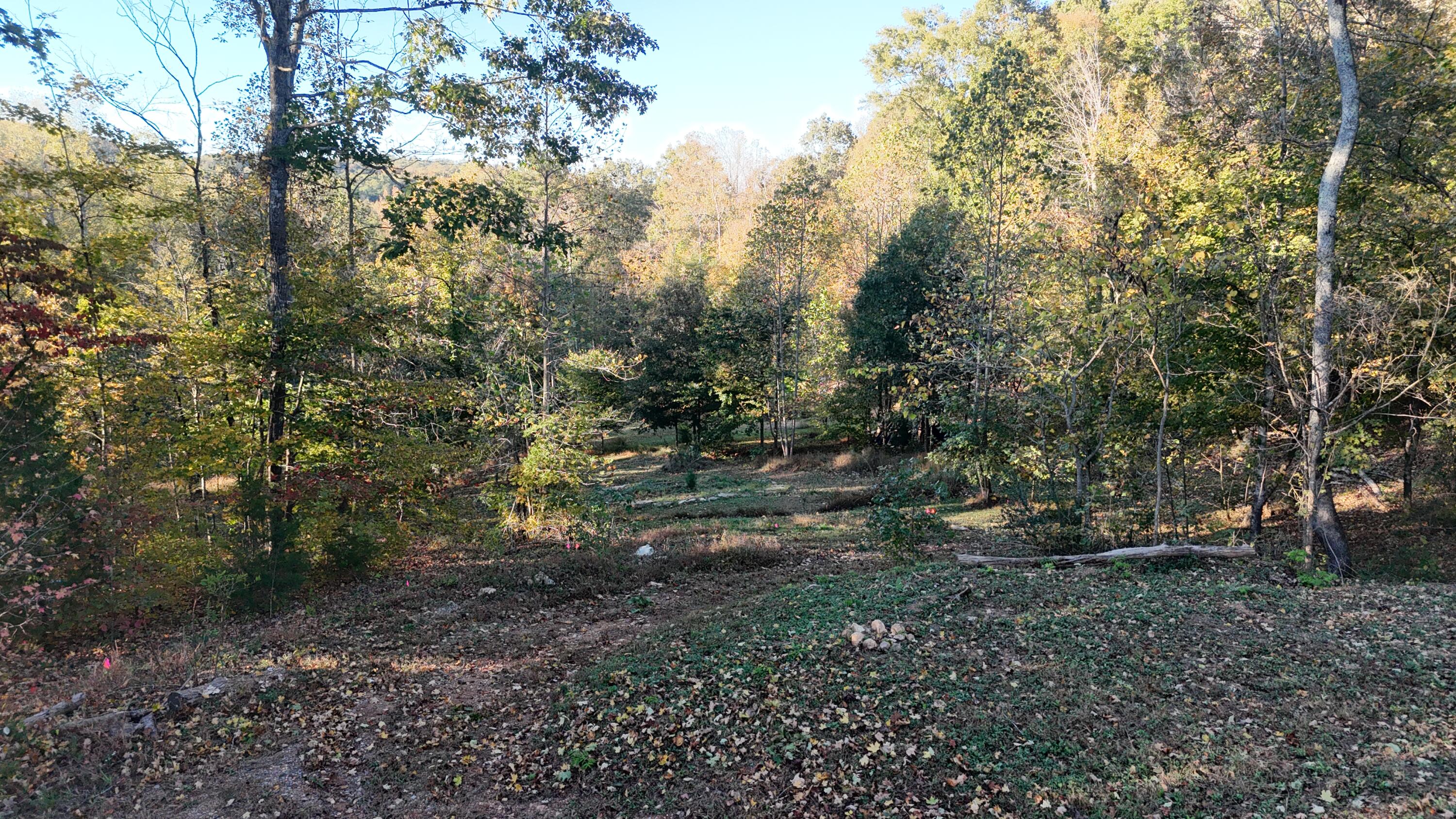 0 Geren Subdivision Lane Decatur, TN 37322 - Photo 54 of 55 dji_fly_20251020_175256_0036_17610482095