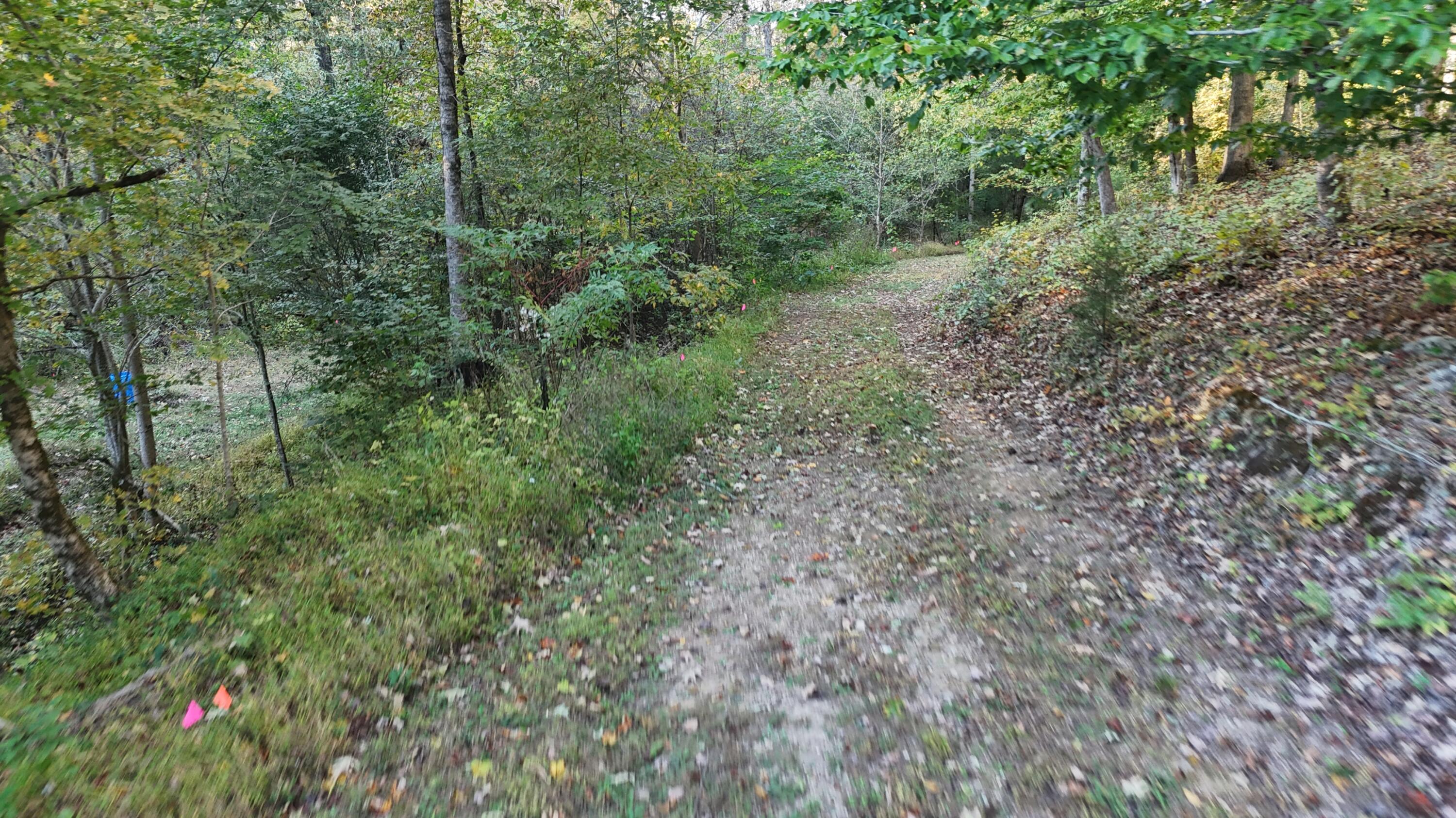 0 Geren Subdivision Lane Decatur, TN 37322 - Photo 55 of 55 dji_fly_20251020_180640_0057_17610481809