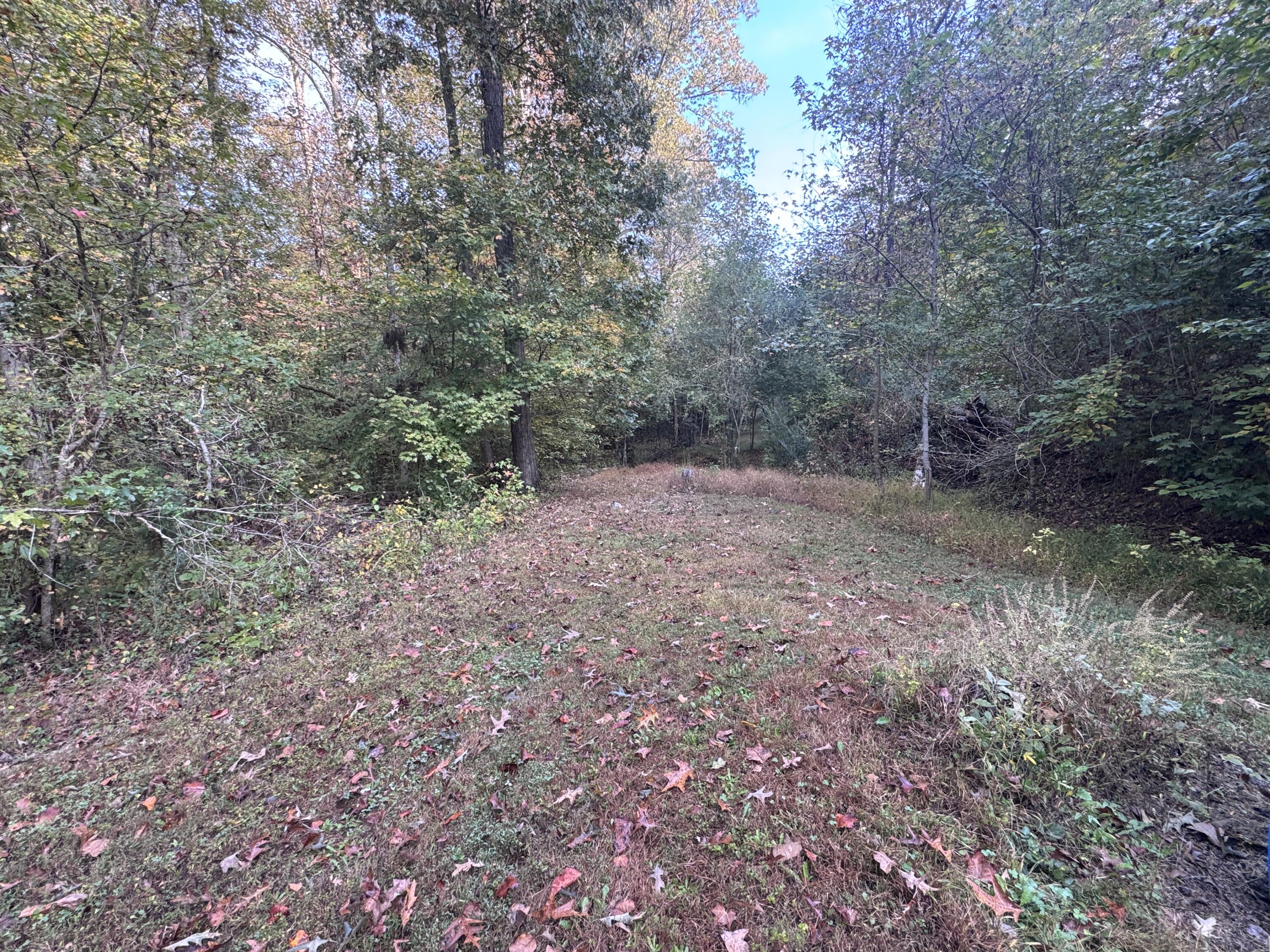 0 Geren Subdivision Lane Decatur, TN 37322 - Photo 7 of 55 IMG_7229