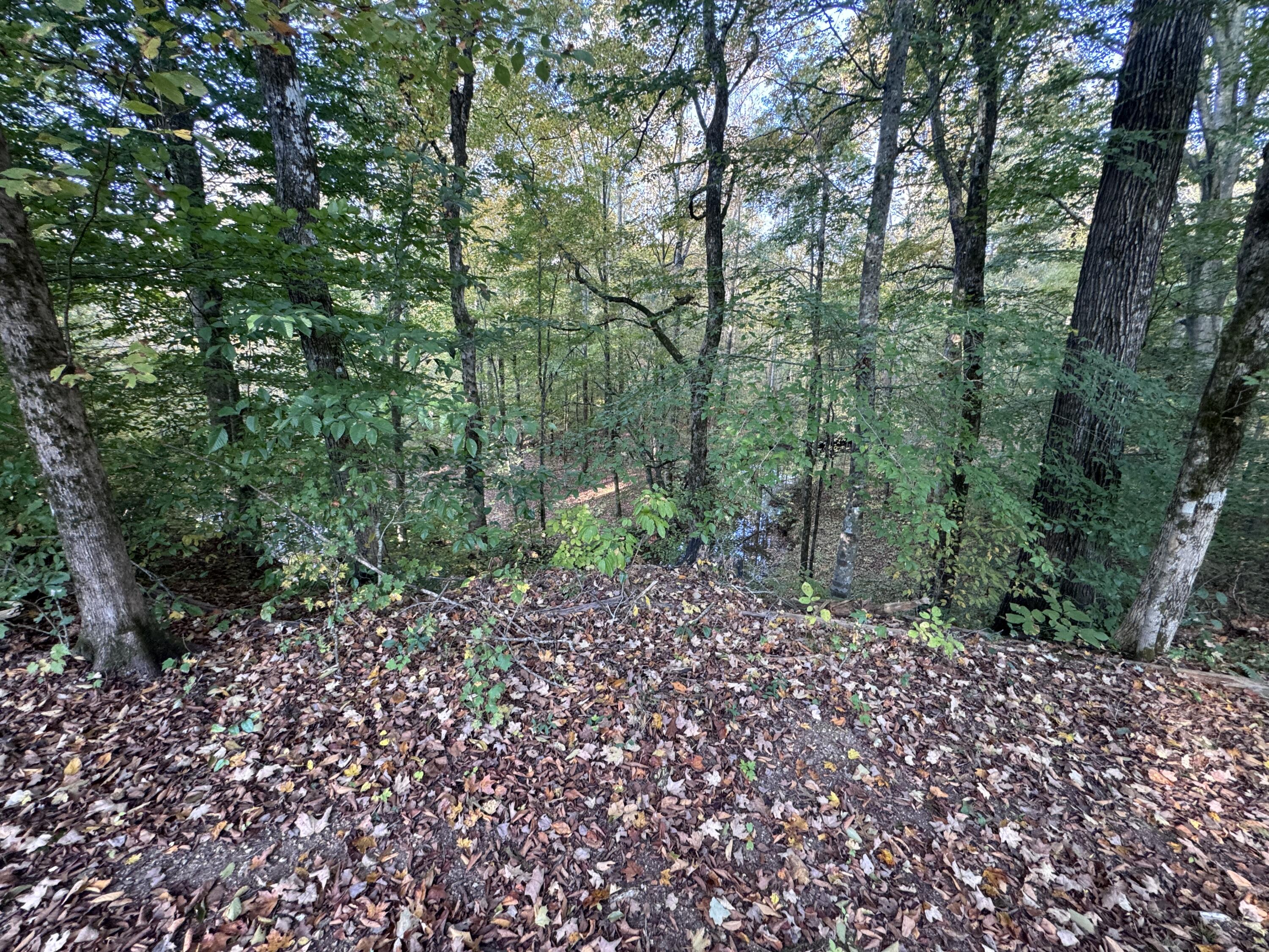 0 Geren Subdivision Lane Decatur, TN 37322 - Photo 8 of 55 IMG_7231