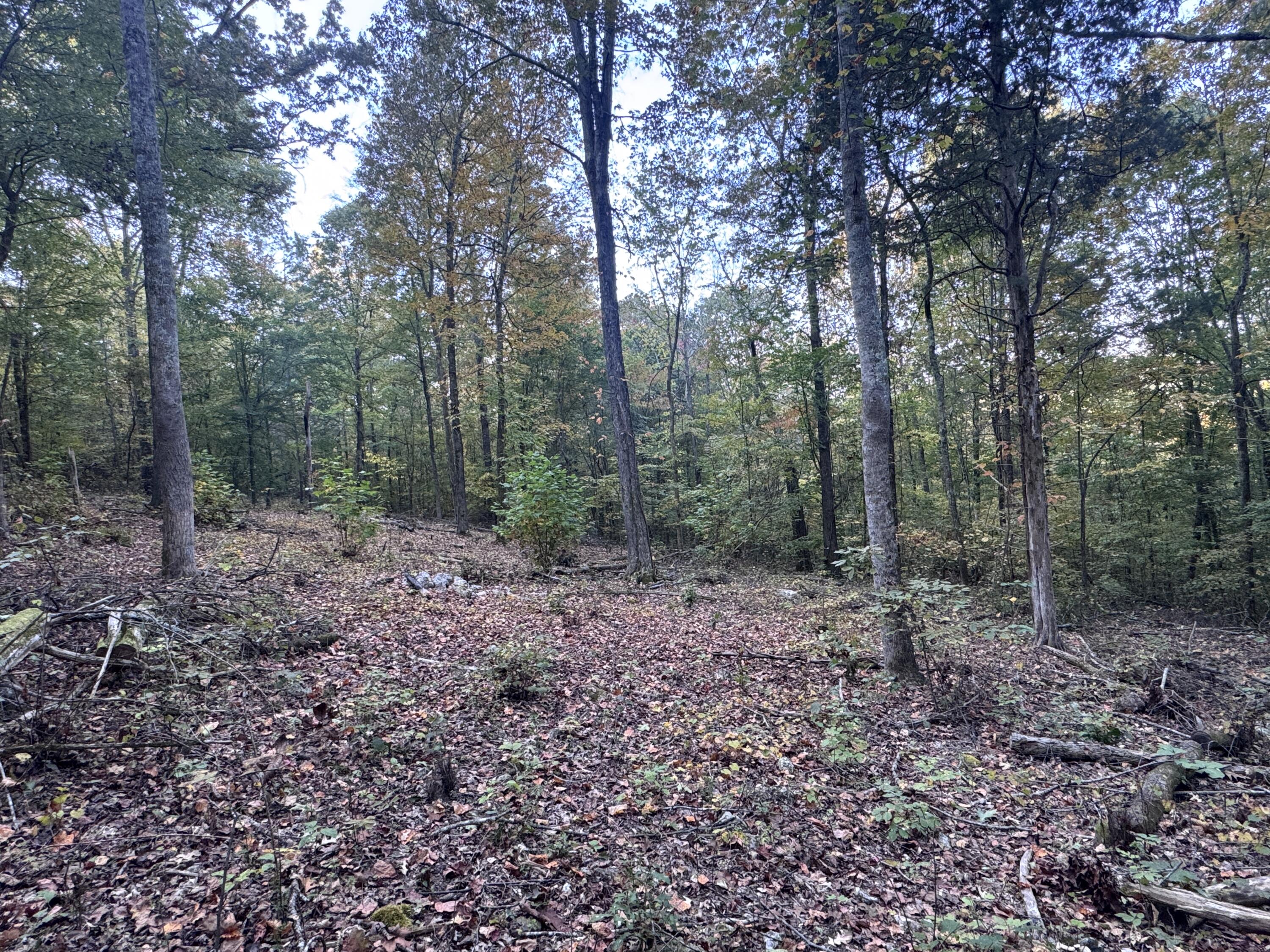 0 Geren Subdivision Lane Decatur, TN 37322 - Photo 10 of 55 IMG_7221