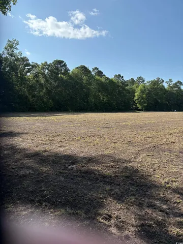 $899,500 | 8745 Swamp Fox Highway East, Tabor City, NC 28463