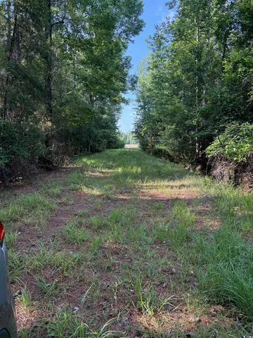 $899,500 | 8745 Swamp Fox Highway East, Tabor City, NC 28463