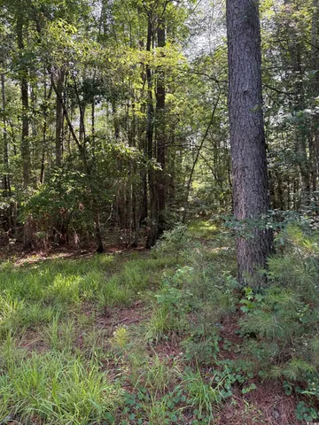 $899,500 | 8745 Swamp Fox Highway East, Tabor City, NC 28463