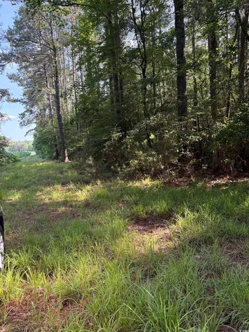 $899,500 | 8745 Swamp Fox Highway East, Tabor City, NC 28463