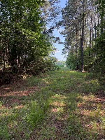 $899,500 | 8745 Swamp Fox Highway East, Tabor City, NC 28463