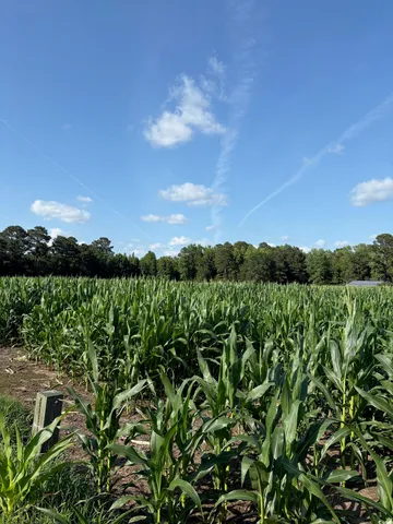 $899,500 | 8745 Swamp Fox Highway East, Tabor City, NC 28463