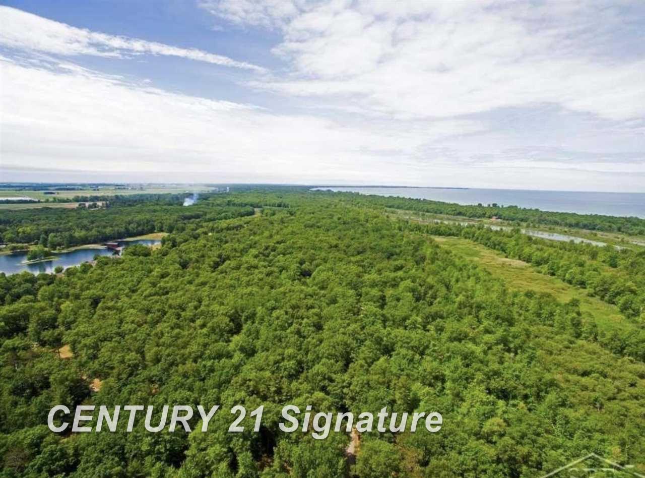 0 Gagetown Road Caseville, MI 48725 - Photo 10 of 12