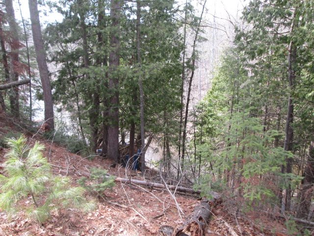 0 Riverview Rd Branch, Unit LOT 23 RIVERVIEW ROAD LOT West Branch, MI 48661 - Photo 3 of 5