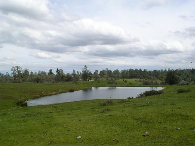14915 Cloverdale Road Anderson, CA 96007 - Photo 4 of 4 Pond