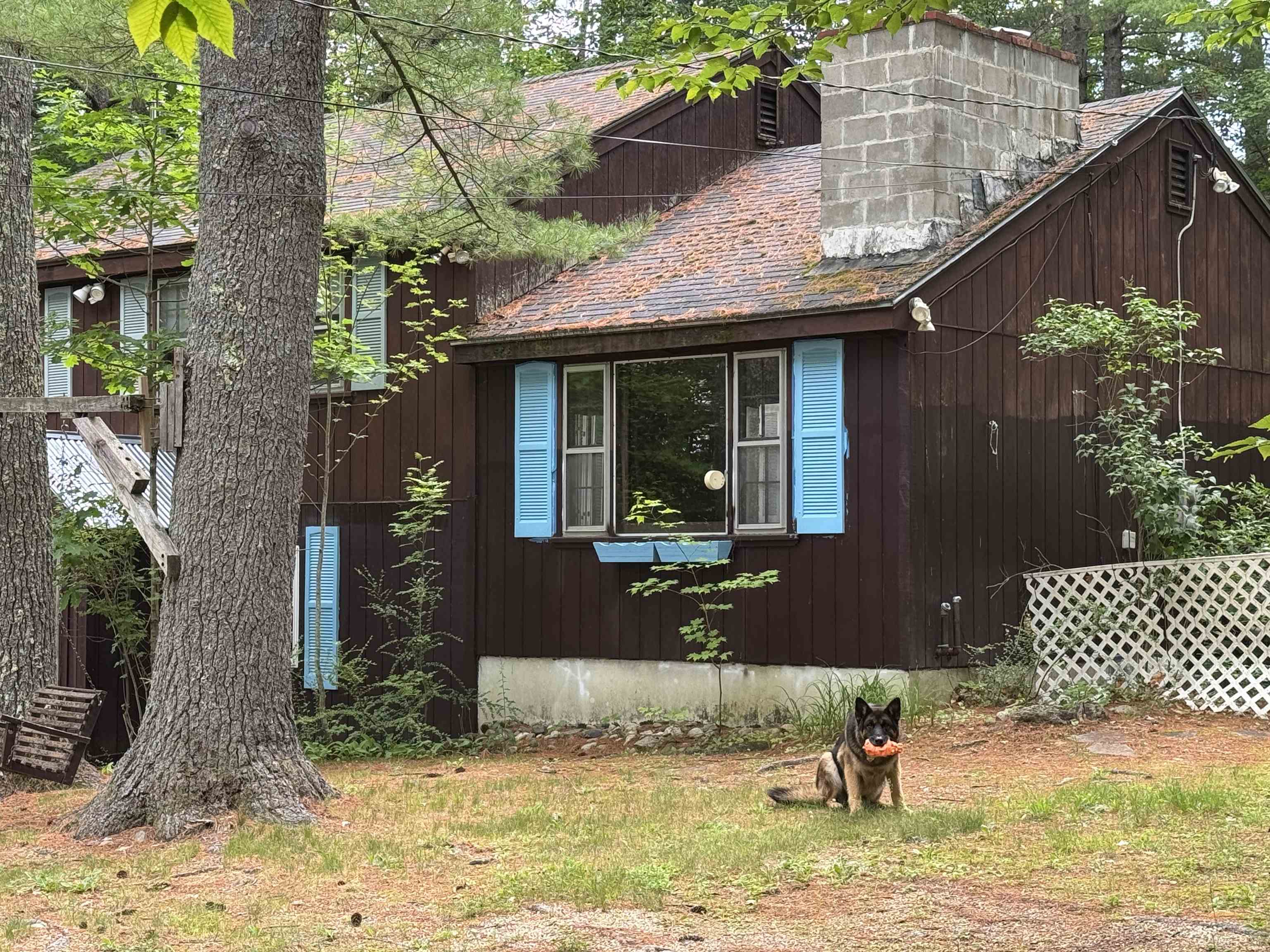 229 Tasker Hill Road Conway, NH 03818 - Photo 51 of 52