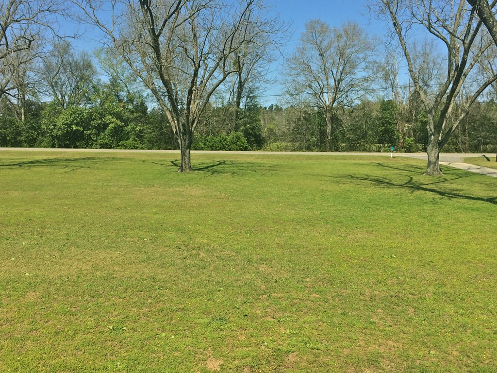 868 Main Street Jackson, SC 29831 - Photo 27 of 29