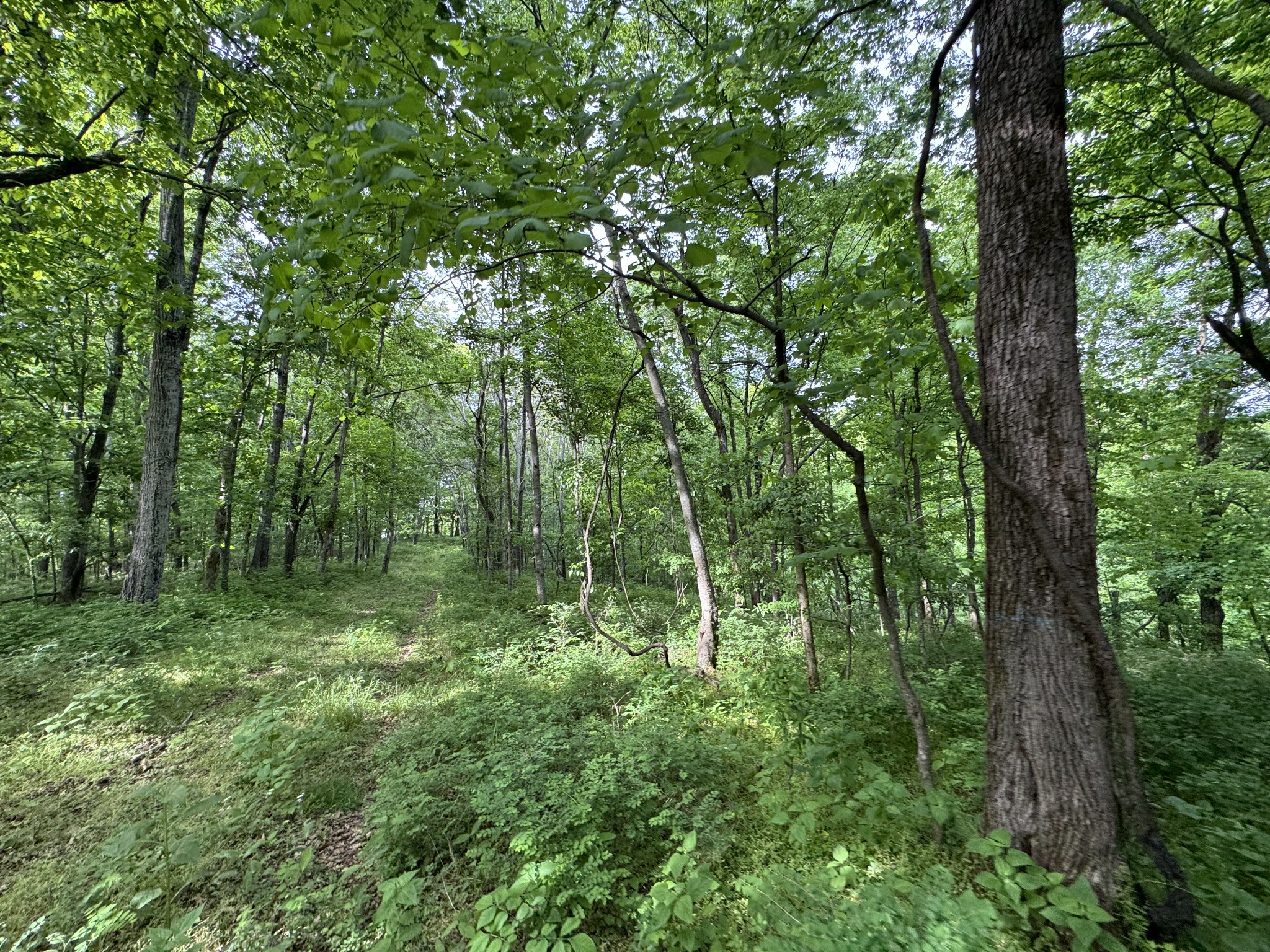 0 Bethel Road Prospect, TN 38477 - Photo 25 of 29 Gallery Image 25