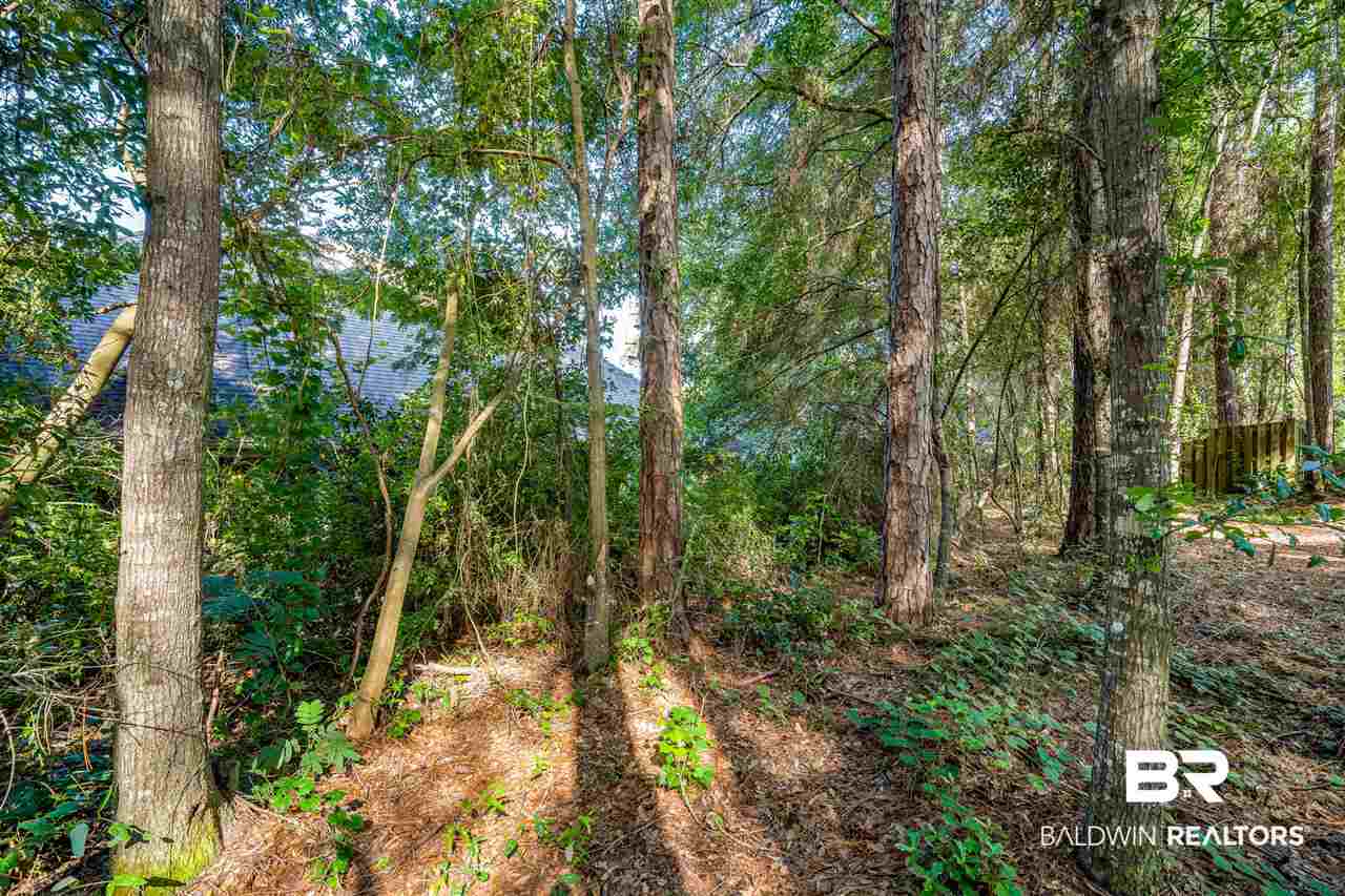 139 Sandy Shoal Loop Fairhope, AL 36532 - Photo 43 of 44