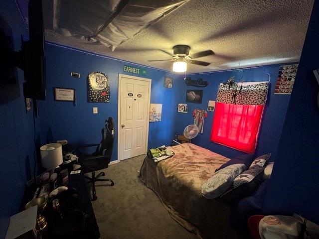 650 Raburn Road Bremen, GA 30110 - Photo 12 of 20